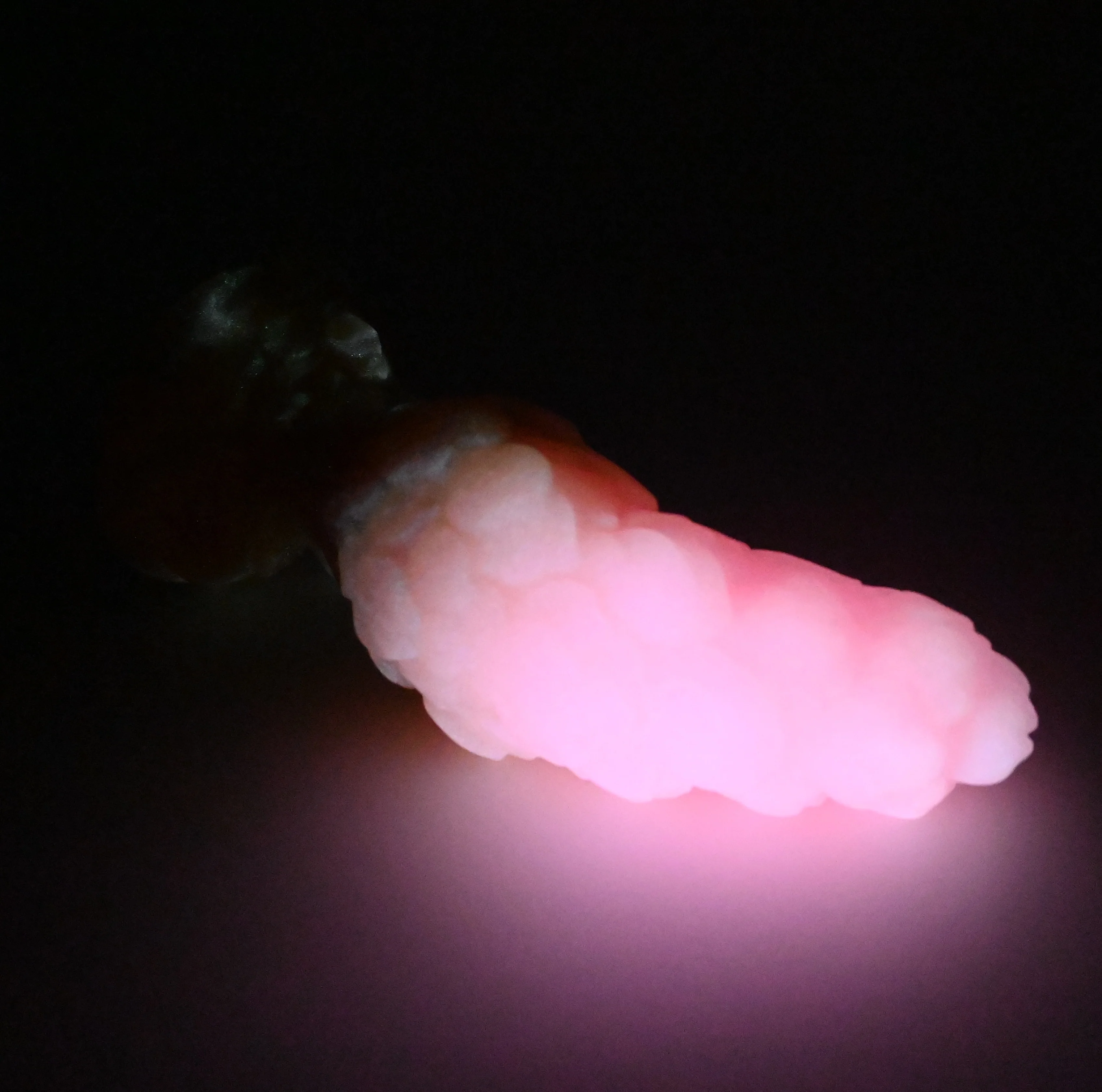 B2SGK44 Flora Small 0030 UV GITD - Image 4