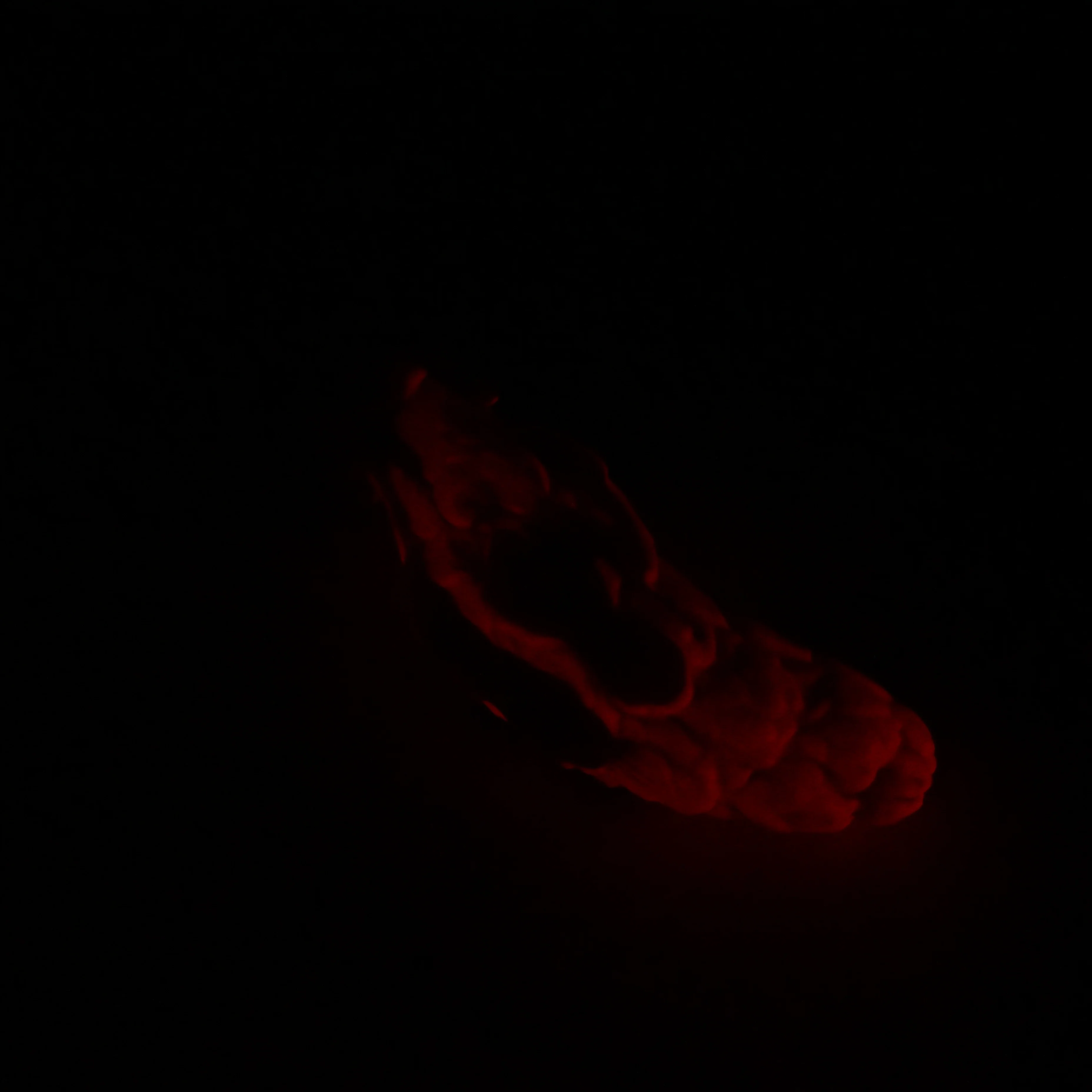 B2SJH25 Flora Small 0030 UV GITD - Image 4
