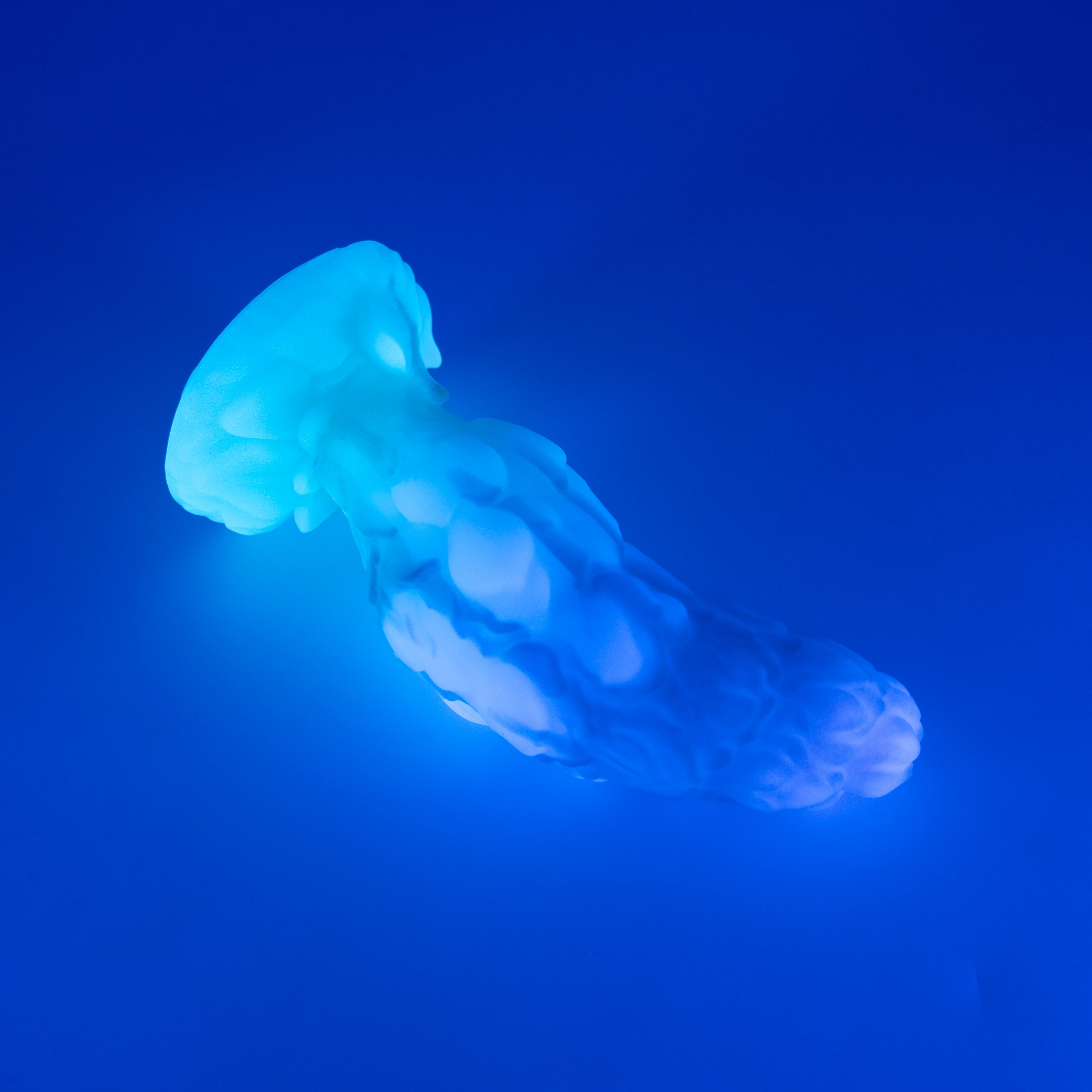 B2SJP72 Flora Small 0030 UV GITD CS - Image 3