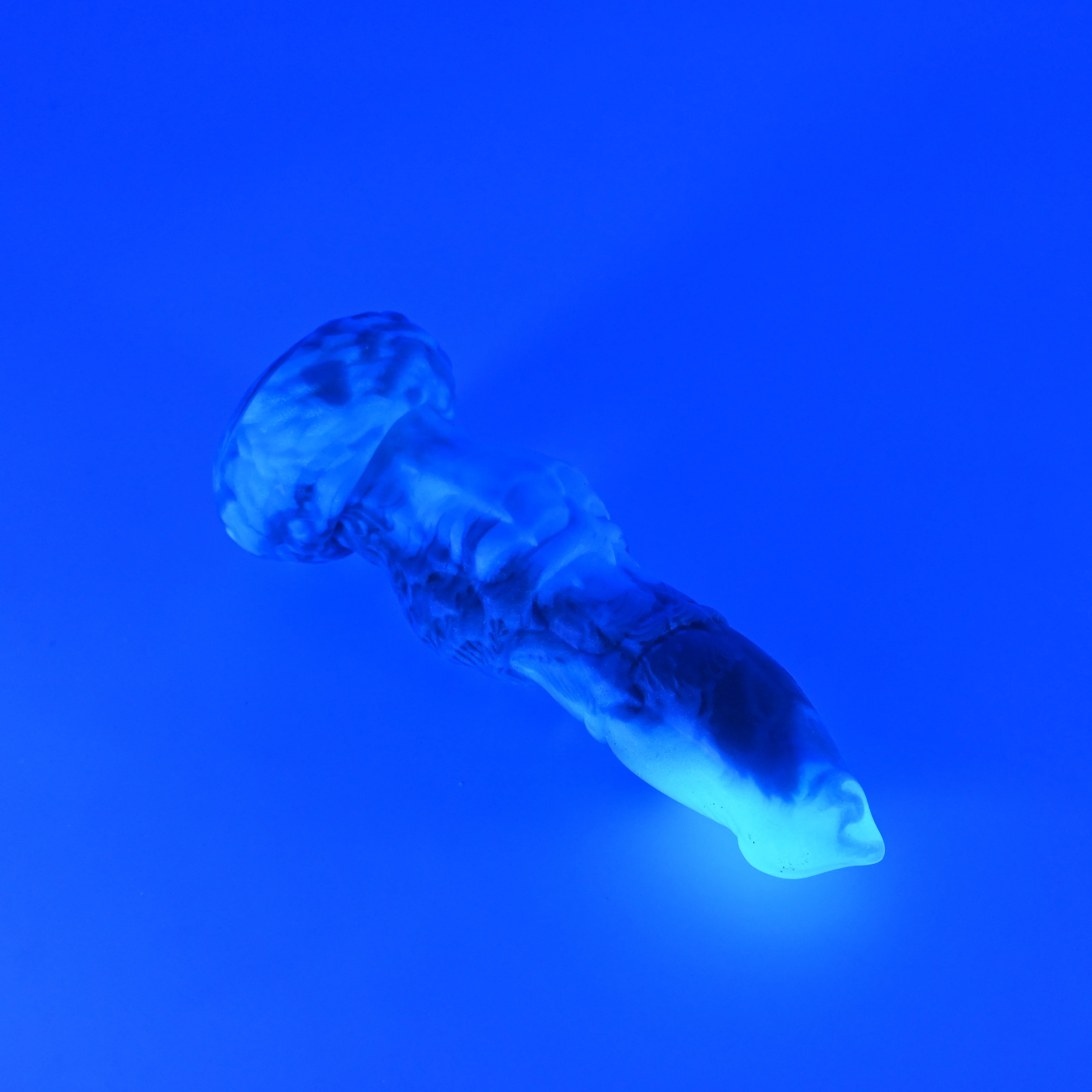 61MHU51 Hellion XS 0050 UV GITD - Image 3