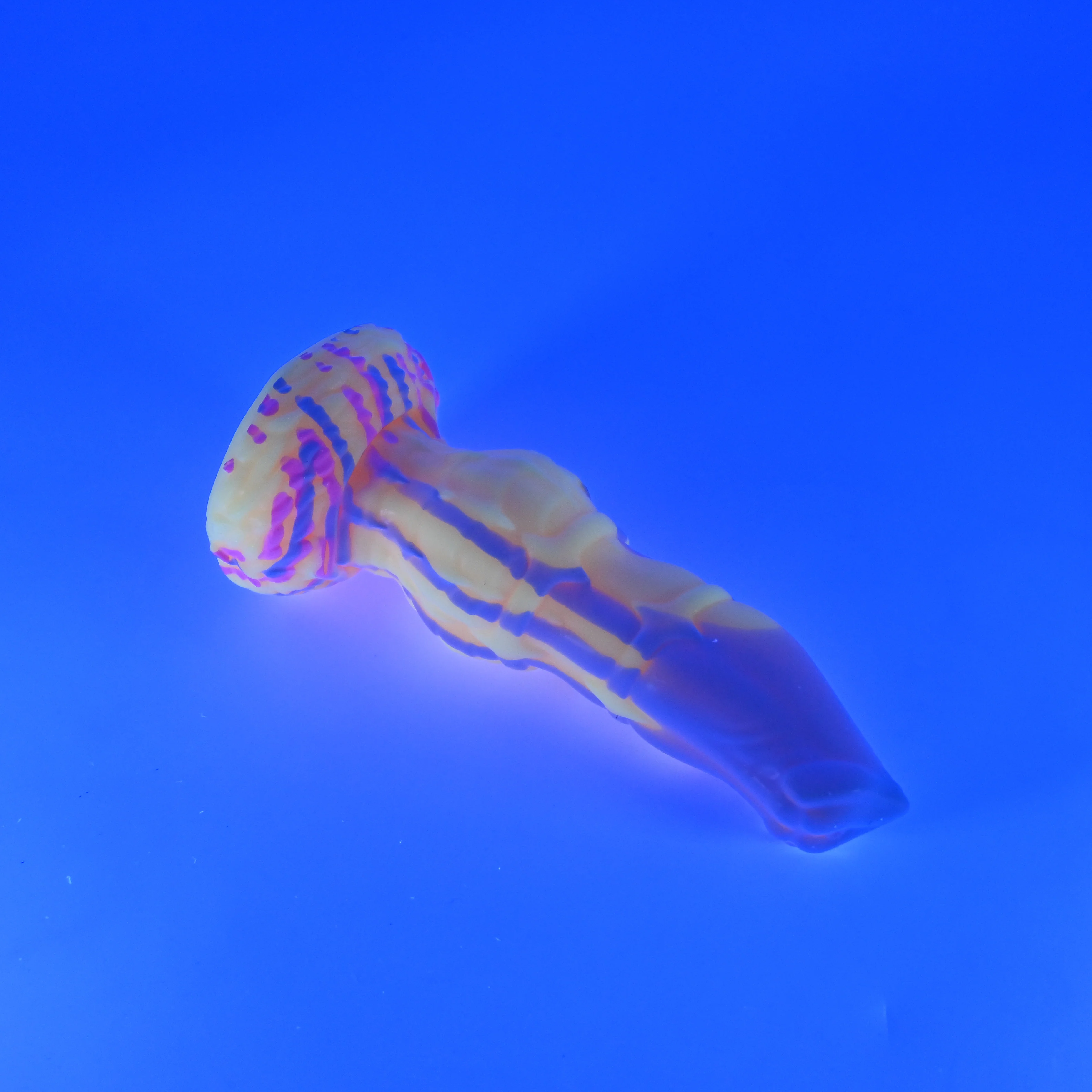 H1MHY65 Hellion XS 0050 UV - Image 3