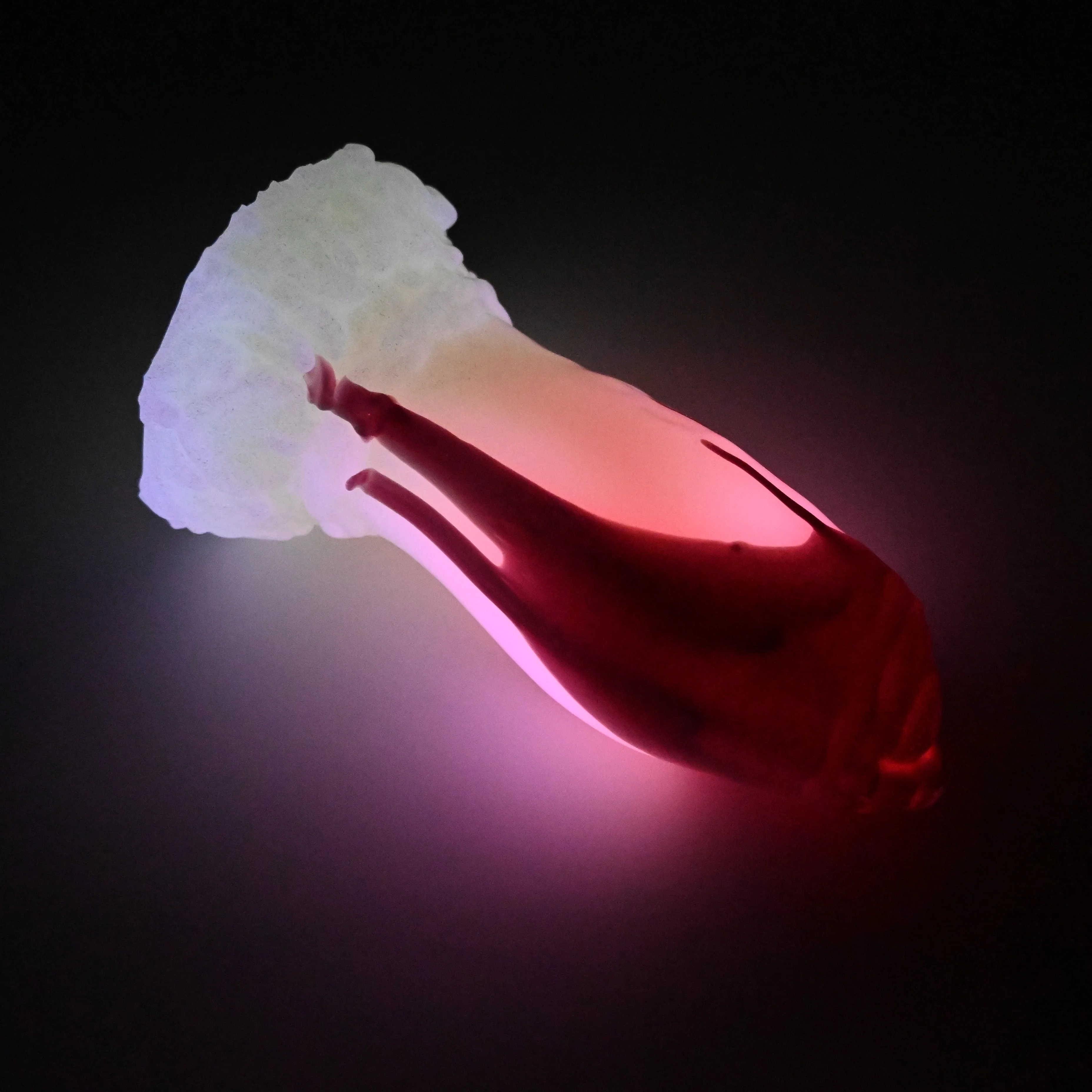 83SJM79 Hue Medium 0030 UV GITD GOBLIN HOLE - Image 4