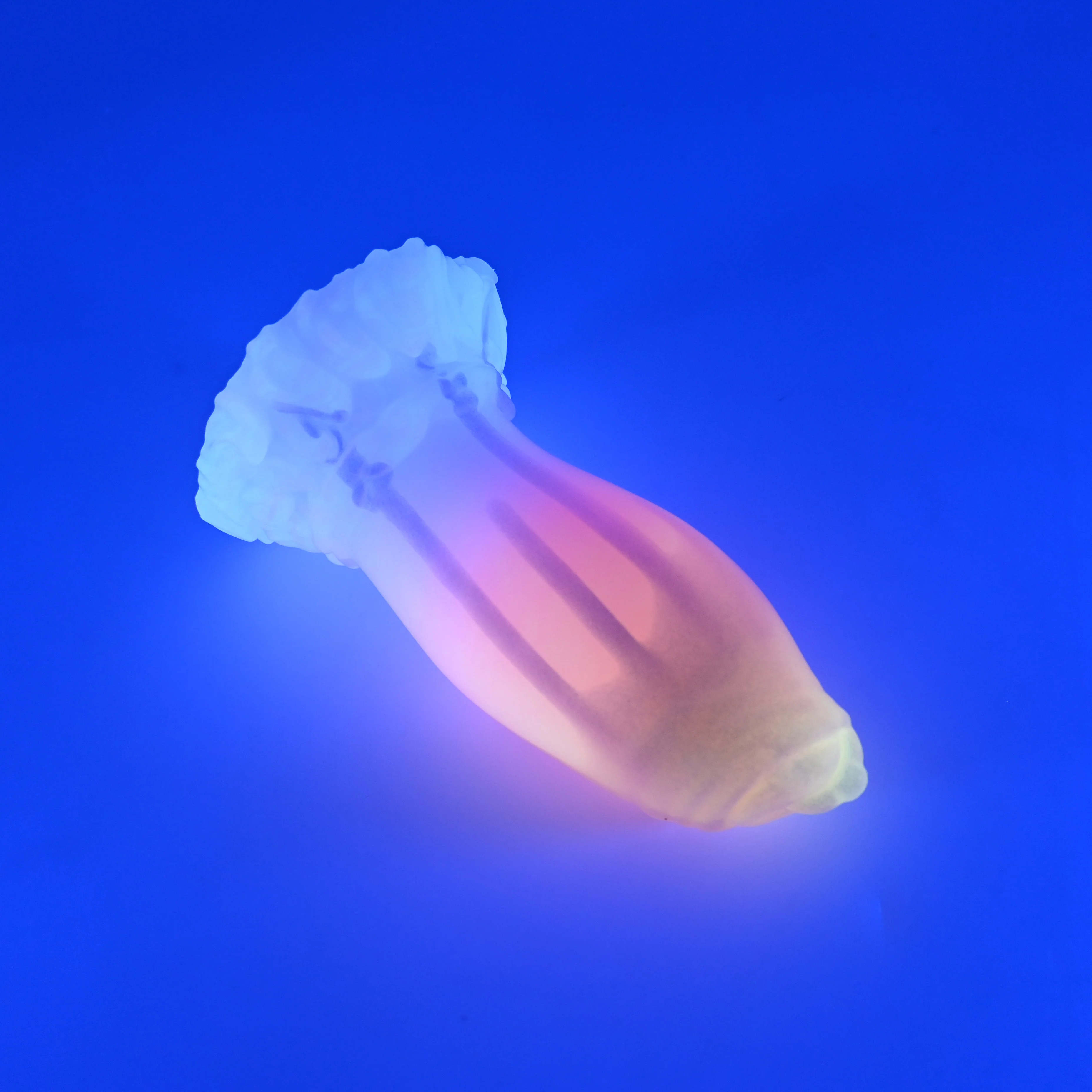 82SJT27 Hue Small 0030 UV GITD CS - Image 3