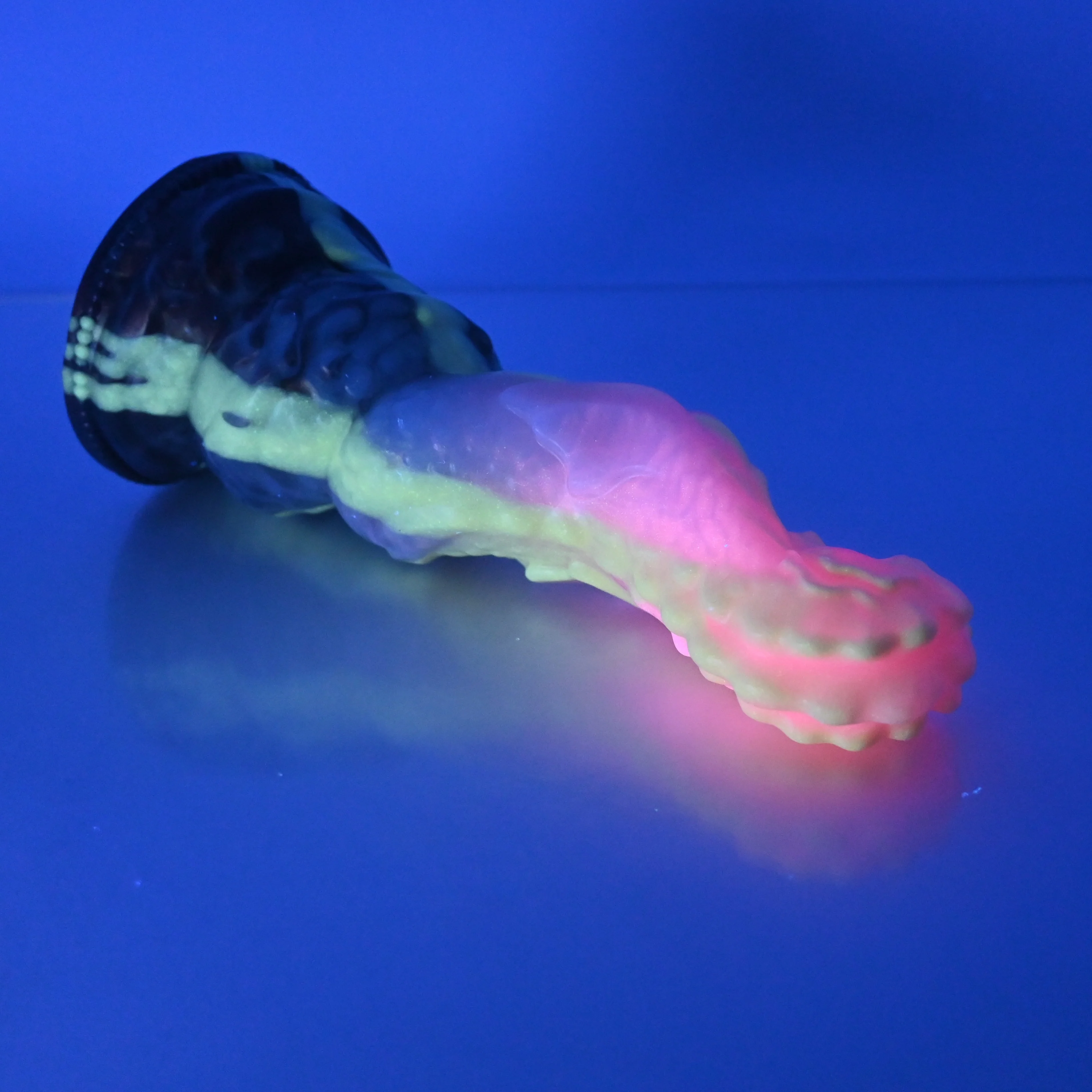 H3MCX51 Hydrae Medium 0050 UV GITD - Image 3