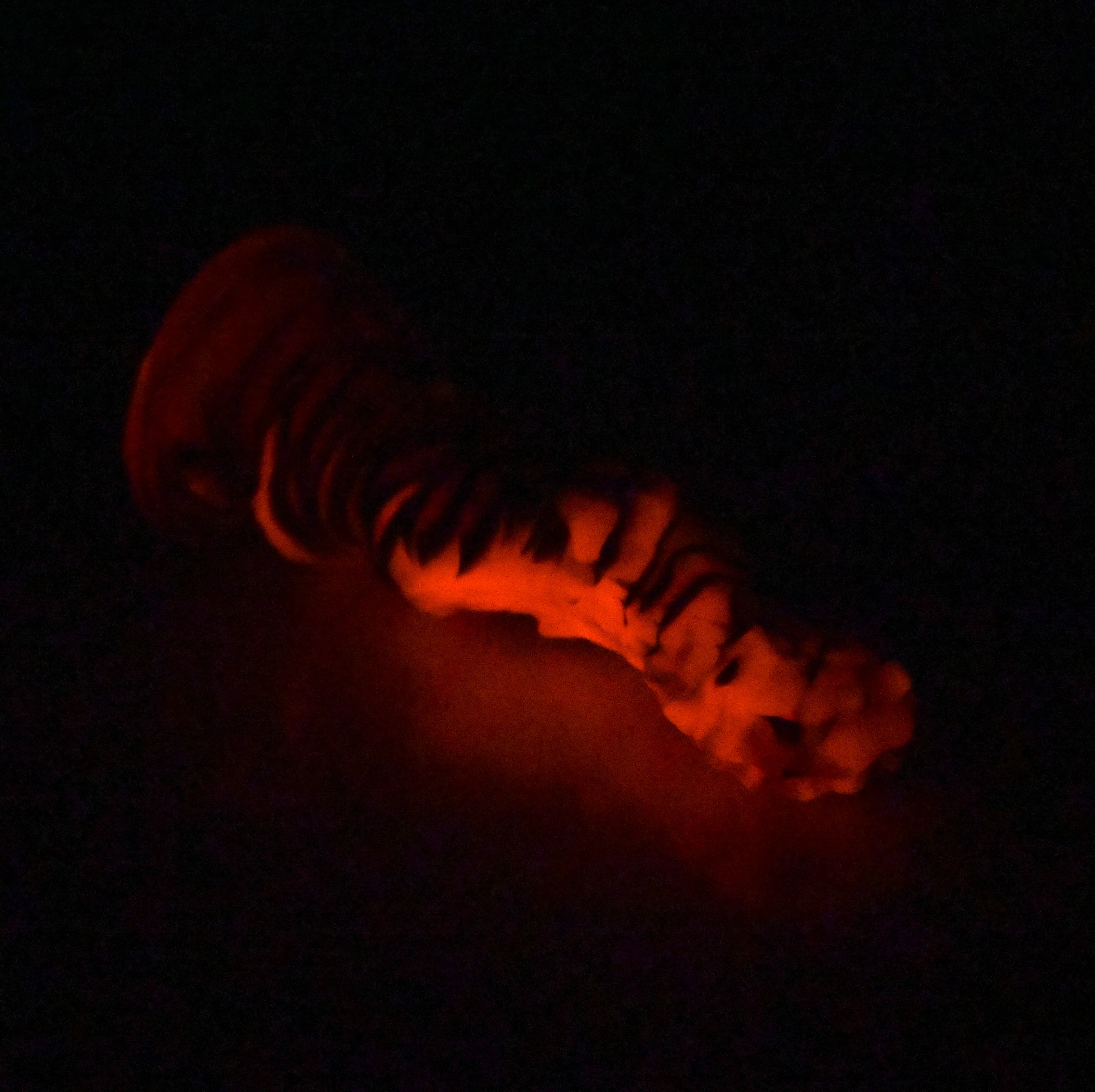 H1MDE05 Hydrae Mini 0050 UV GITD - Image 4