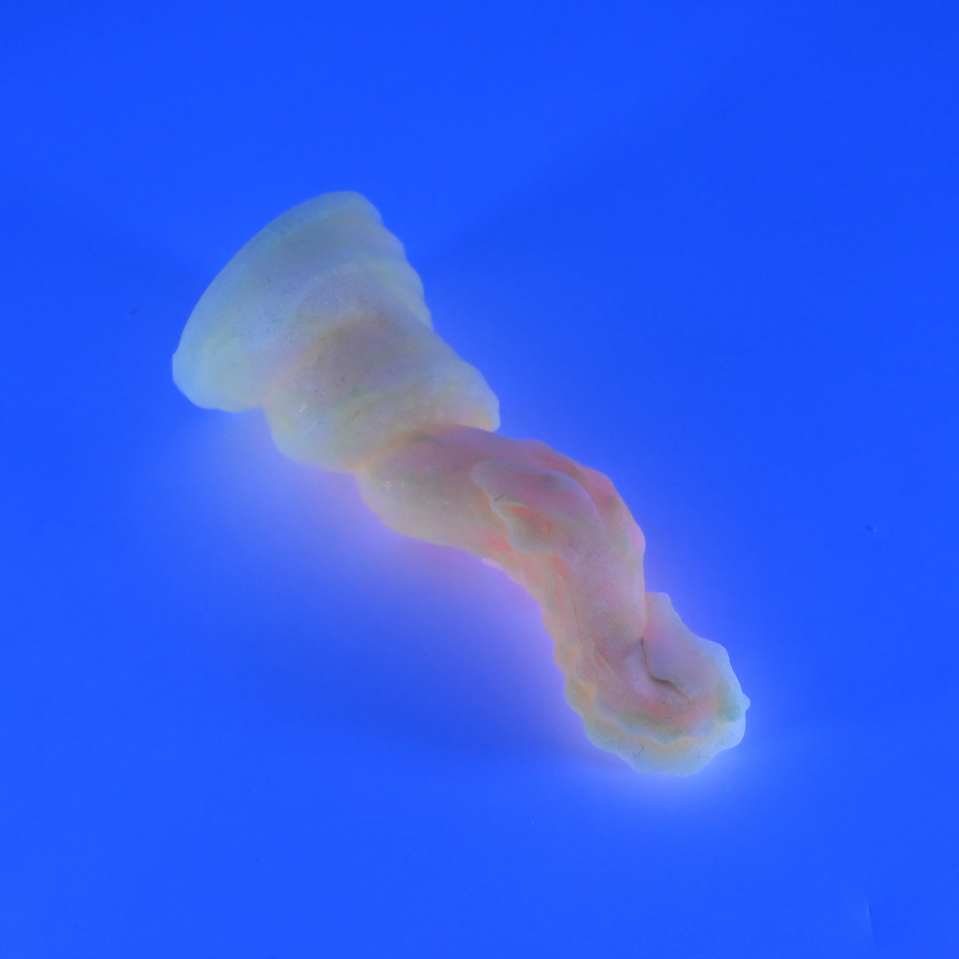 H1MHW87 Hydrae Mini 0050 UV GITD - Image 3