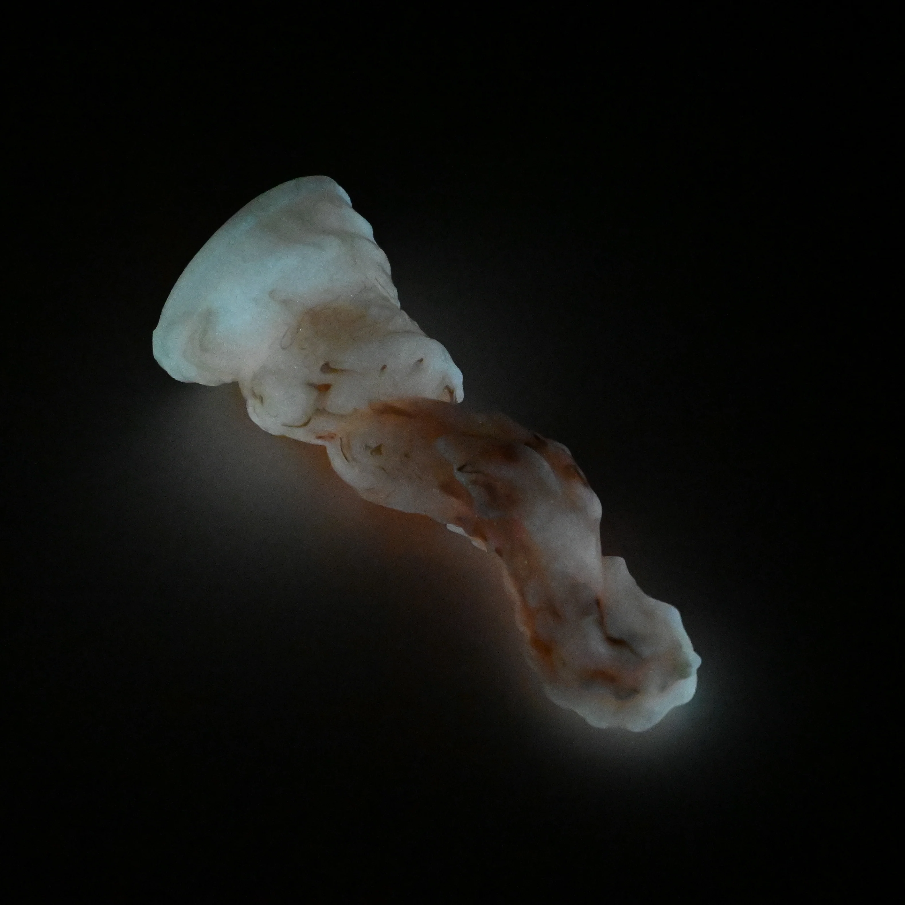 H1MHW87 Hydrae Mini 0050 UV GITD - Image 4