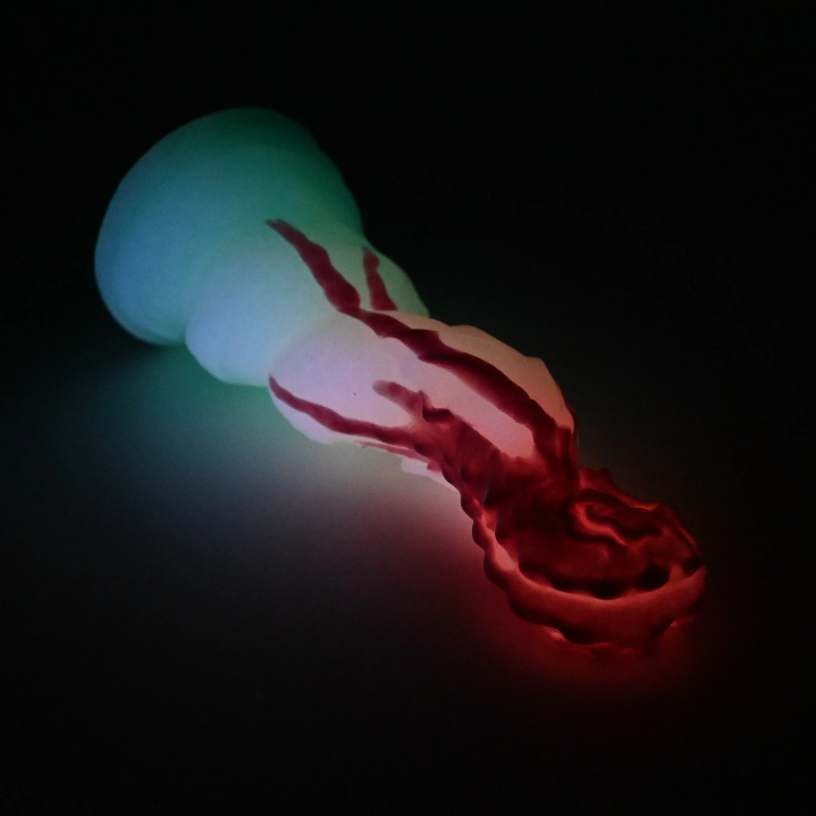 H2SGK81 Hydrae Small 0030 UV GITD - Image 4