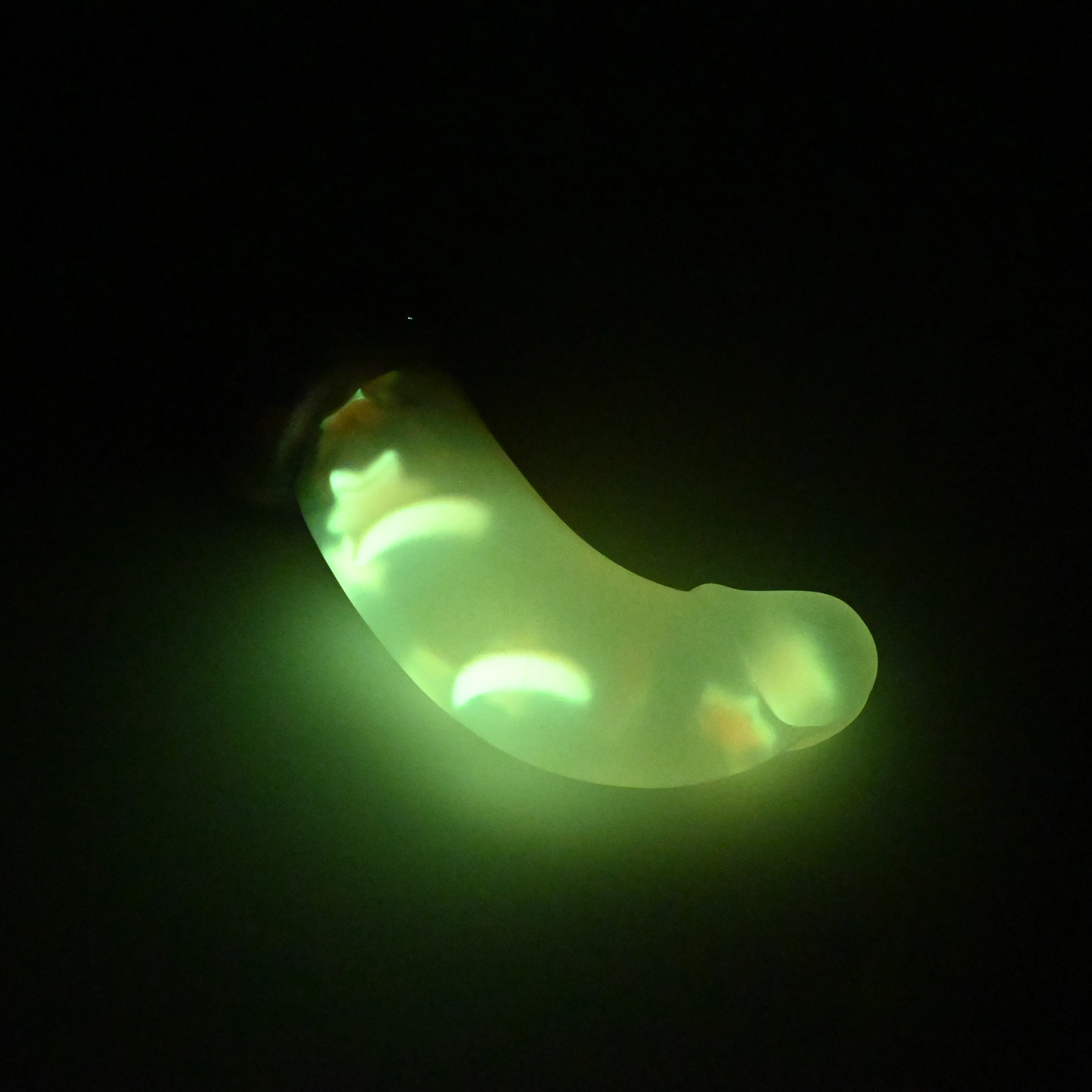G2THQ64 Ignis Small NC 0031 UV GITD CS - Image 4