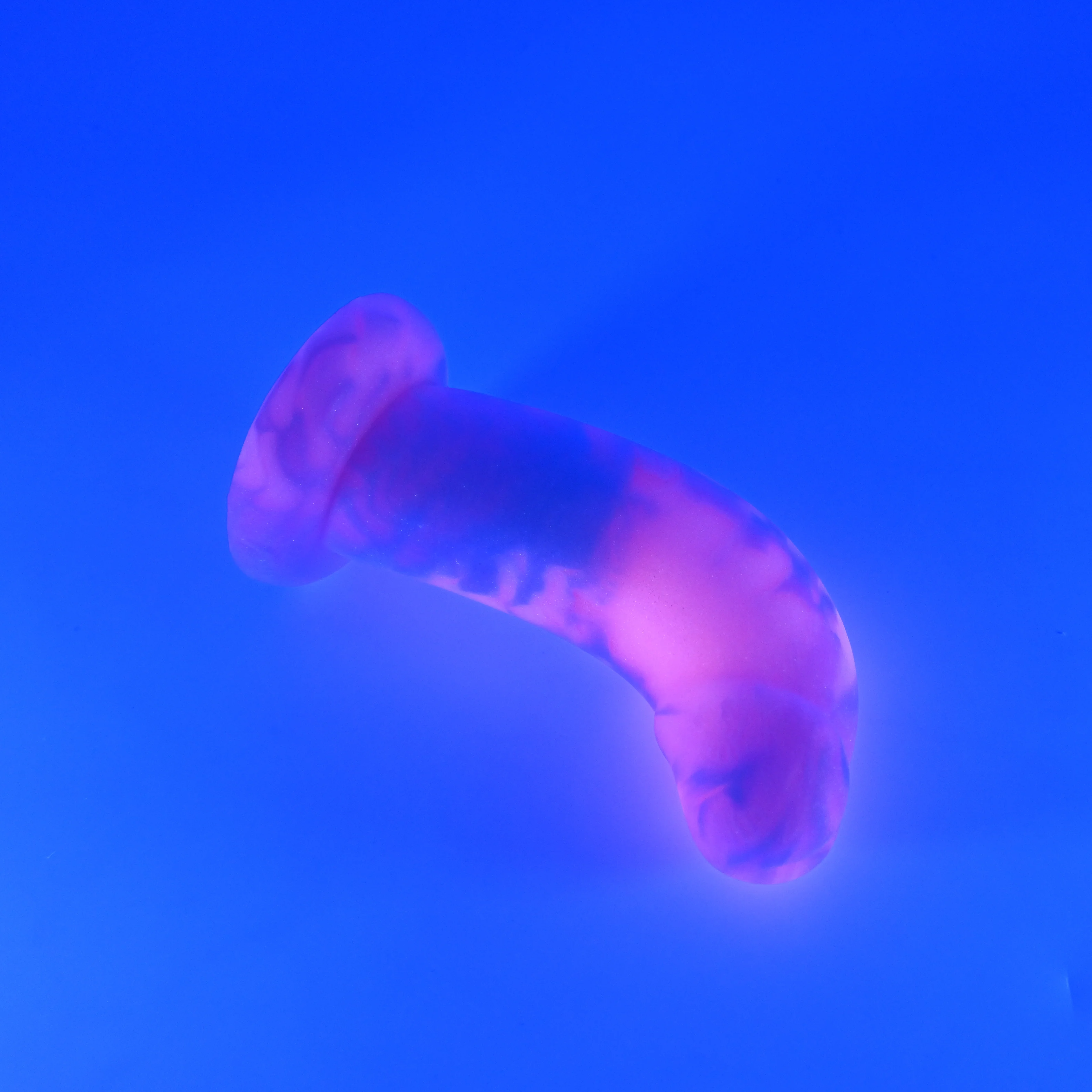 G2MHW82 Ignis Small 0050 UV GITD - Image 3