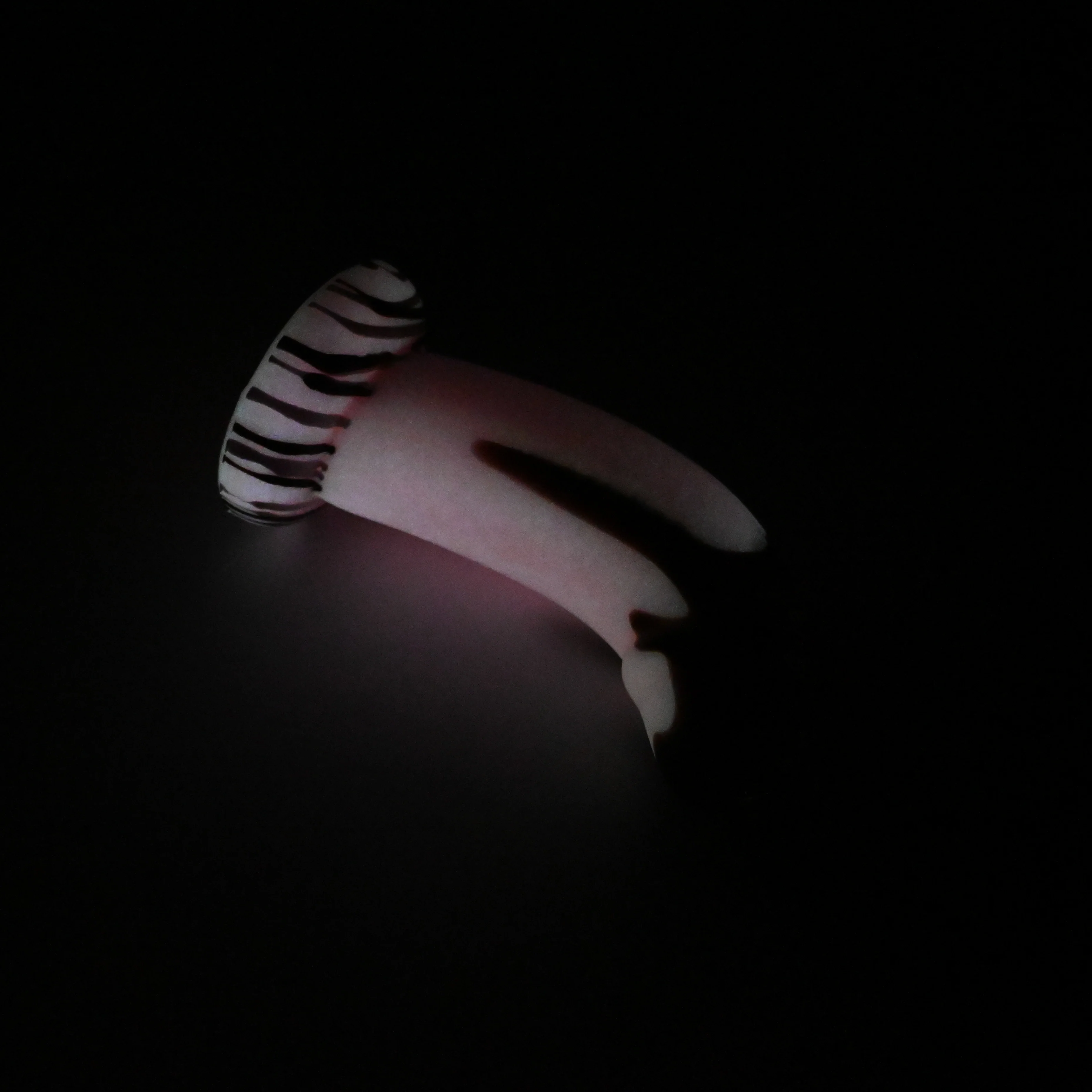 G2SJD90 Ignis Small 0030 UV GITD - Image 4