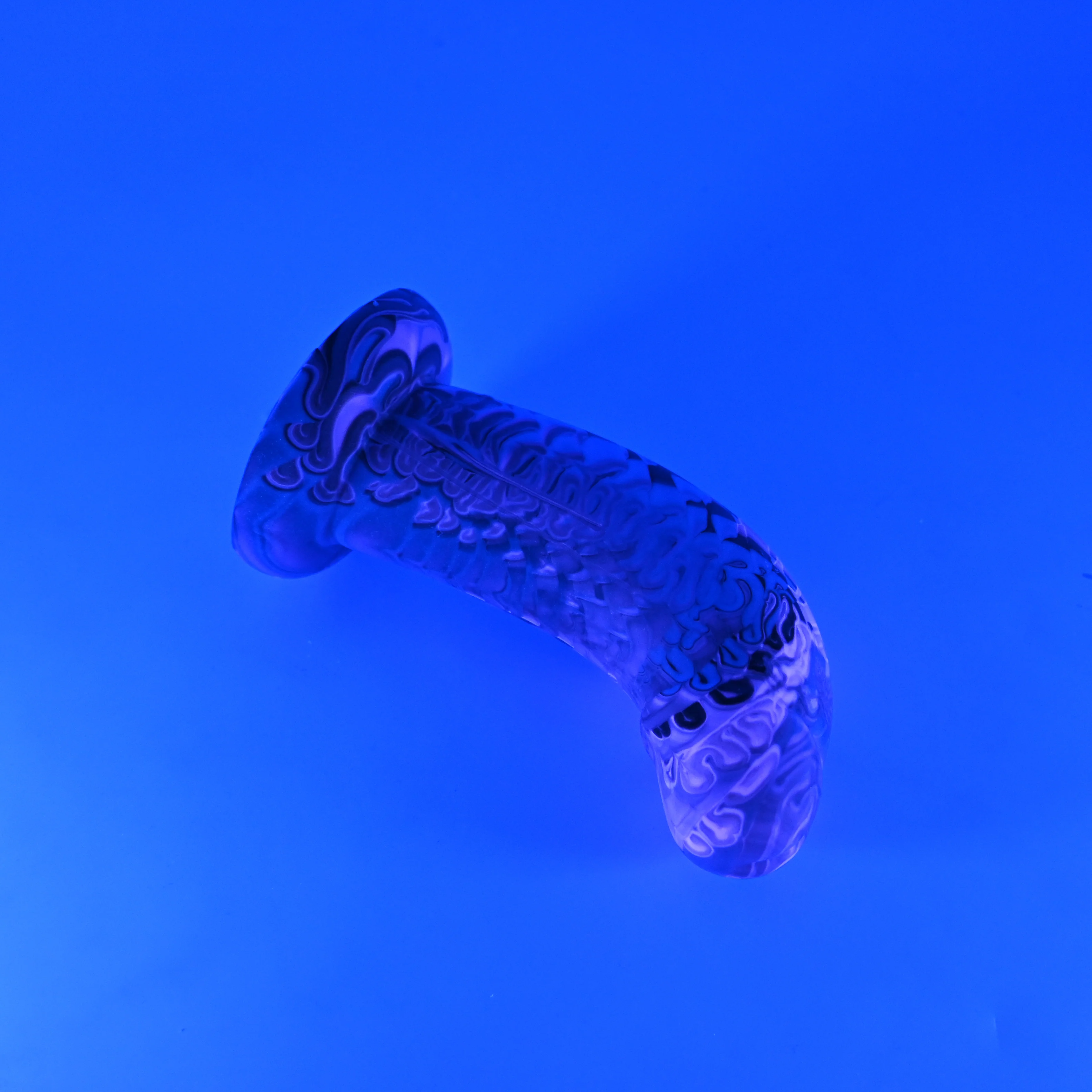G2MJZ43 Ignis Small 0050 UV GITD - Image 3