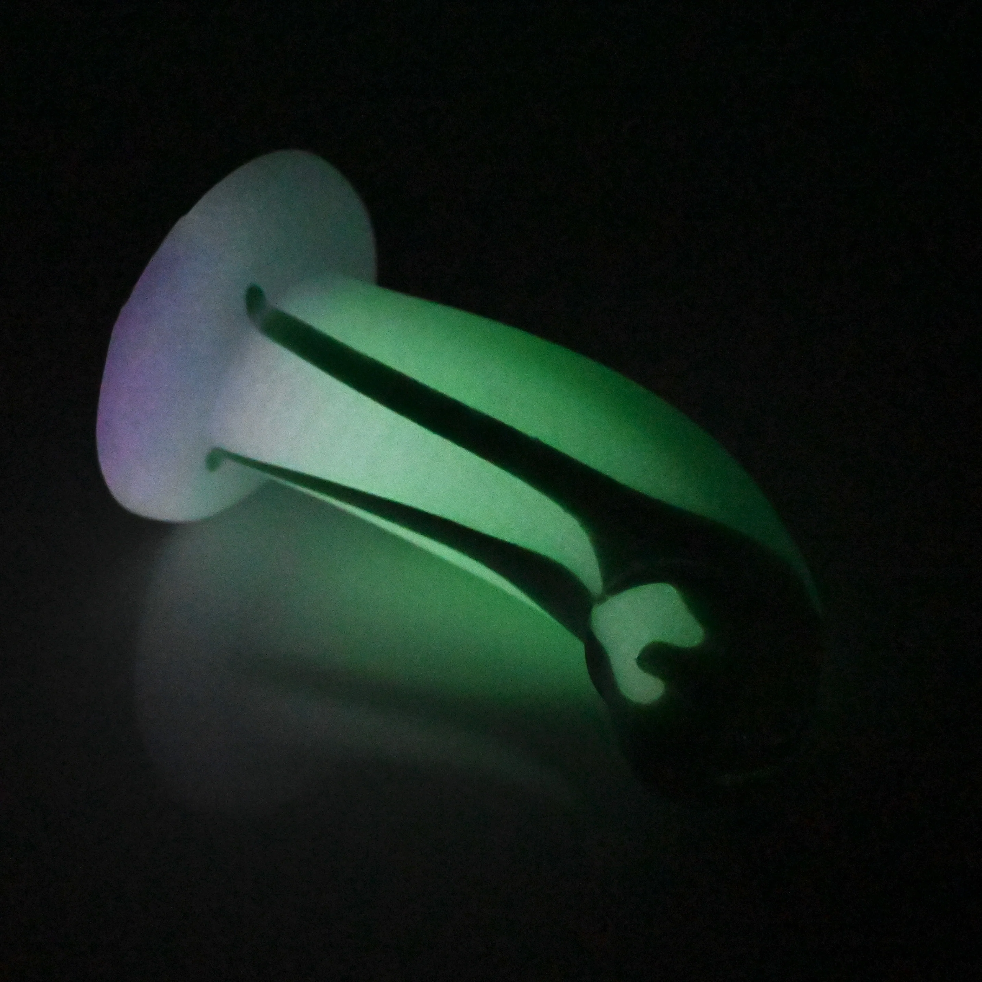 G2MDU91 Ignis Small 0050 UV GITD - Image 4