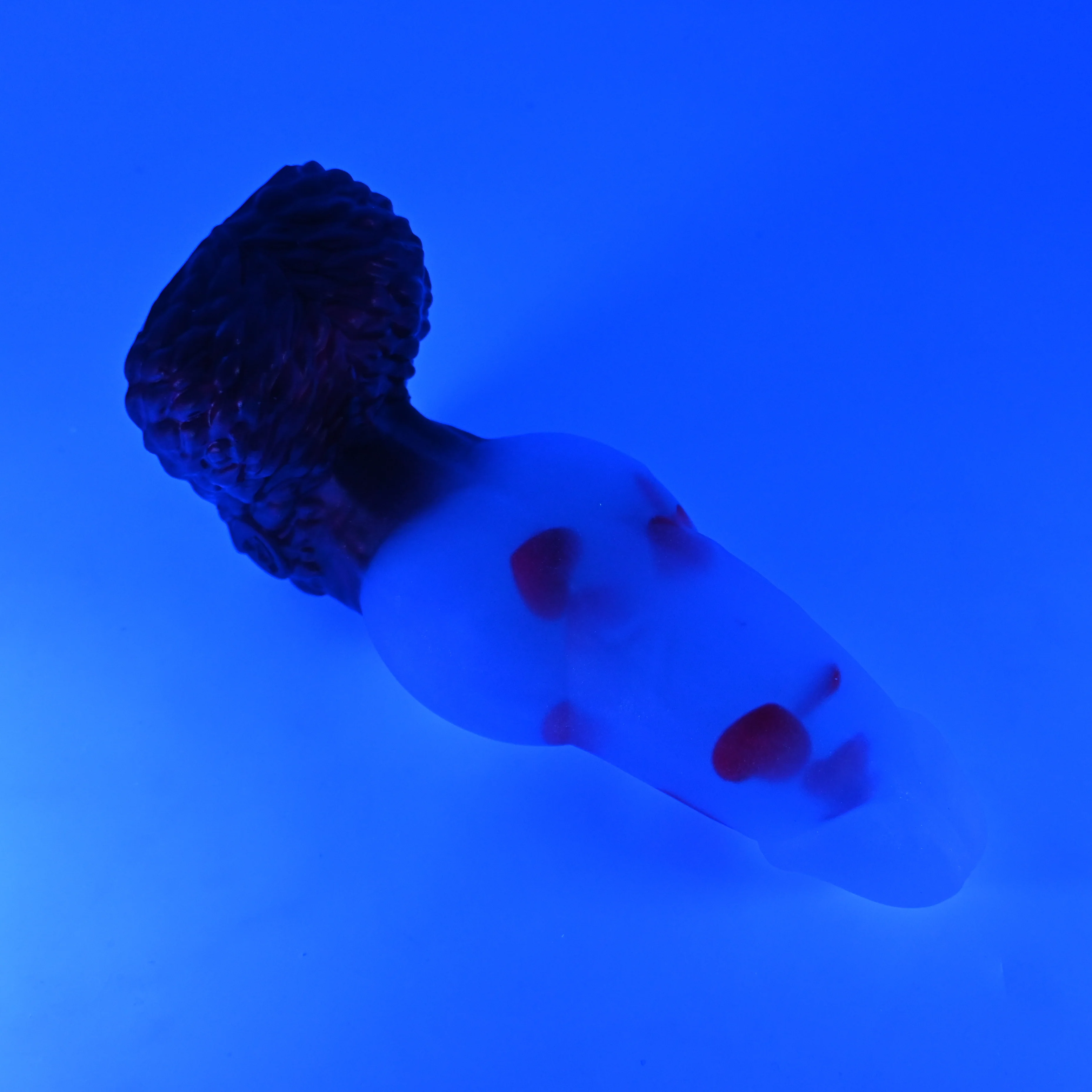 53TJY89 Jacob Medium NC 0031 UV GITD CS - Image 3
