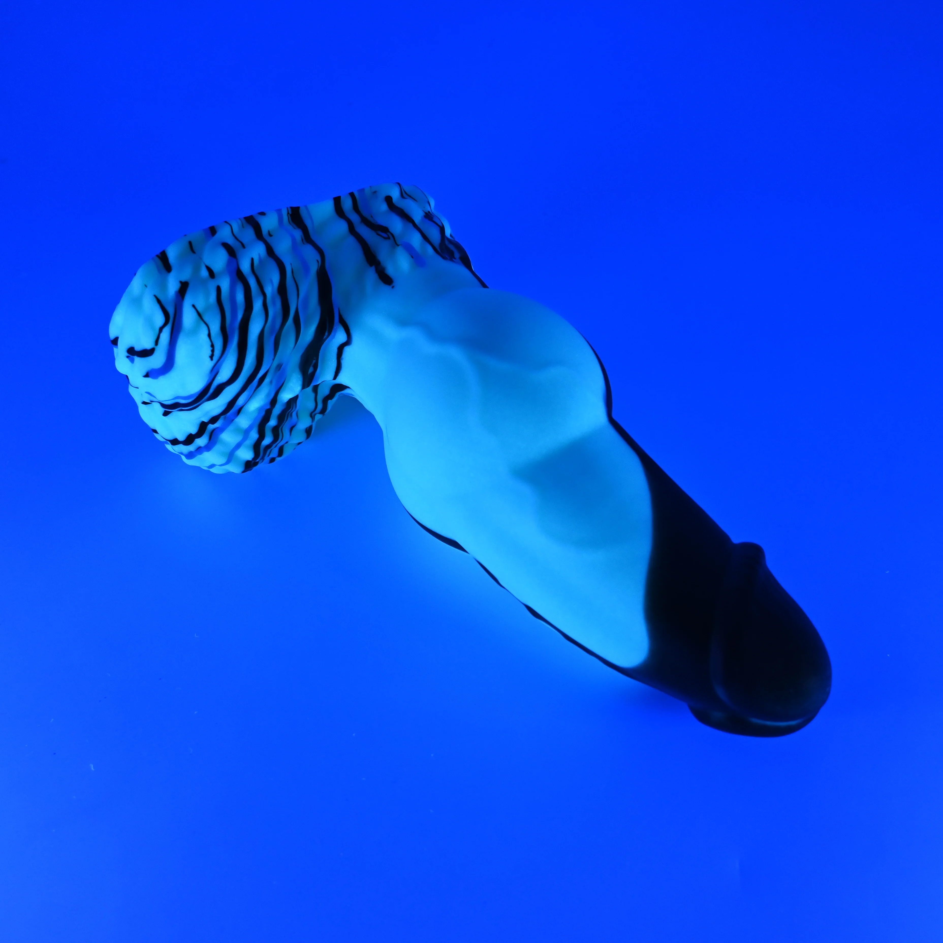 53XHY18 Jacob Medium 0020 UV GITD - Image 3