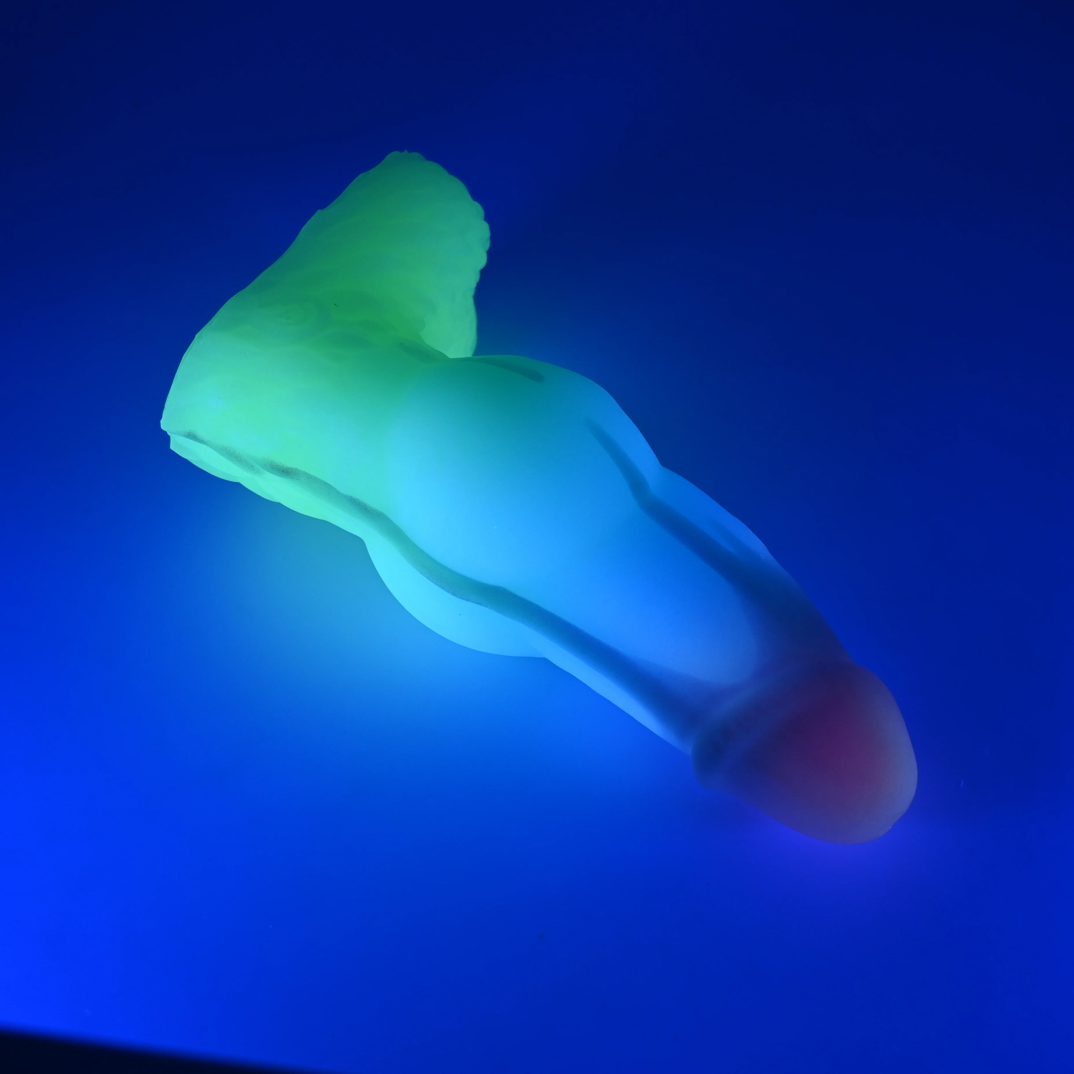 53MJH05 Jacob Medium 0050 UV GITD CS *FLOP* - Image 3