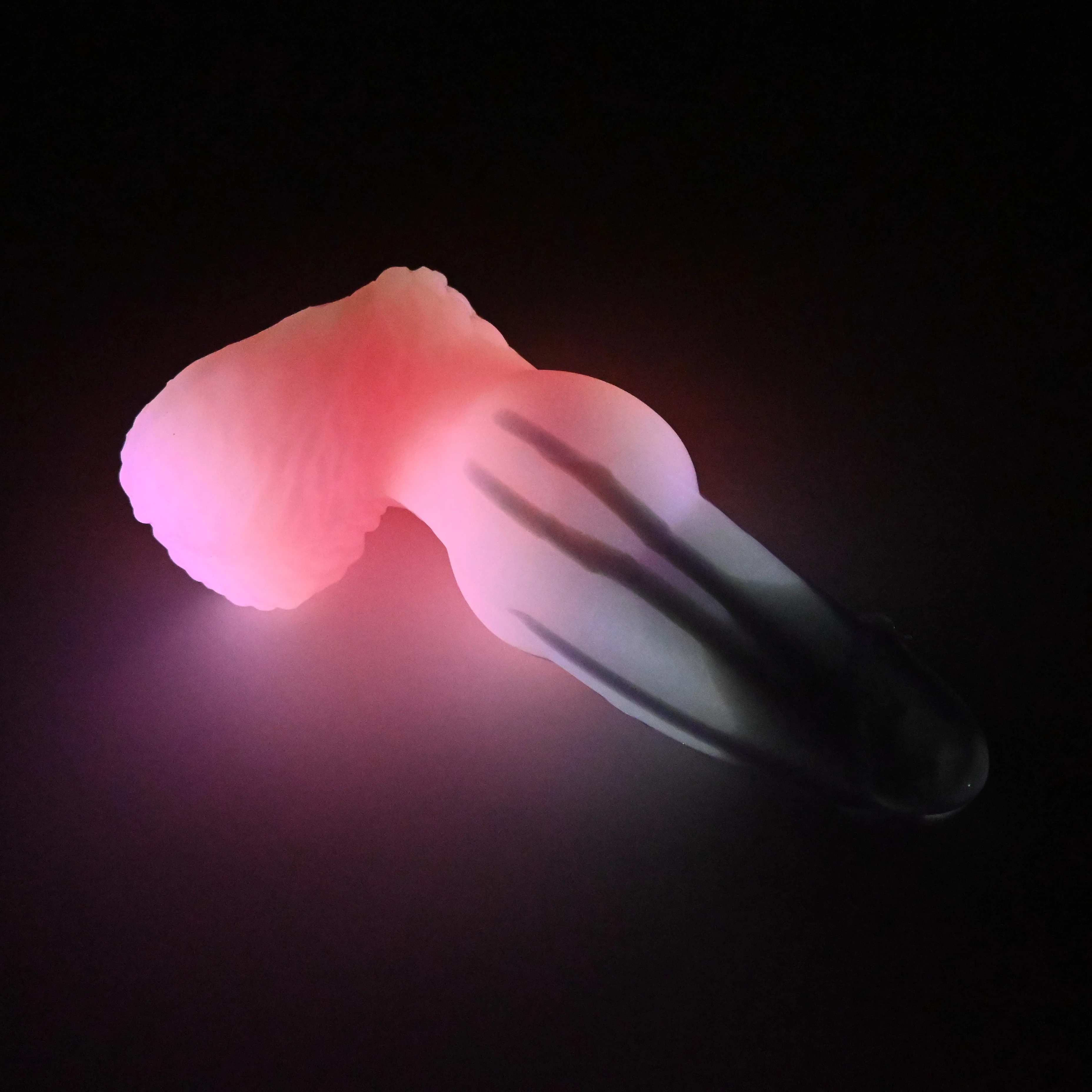 53XJT01 Jacob Medium 0020 UV GITD CS - Image 4
