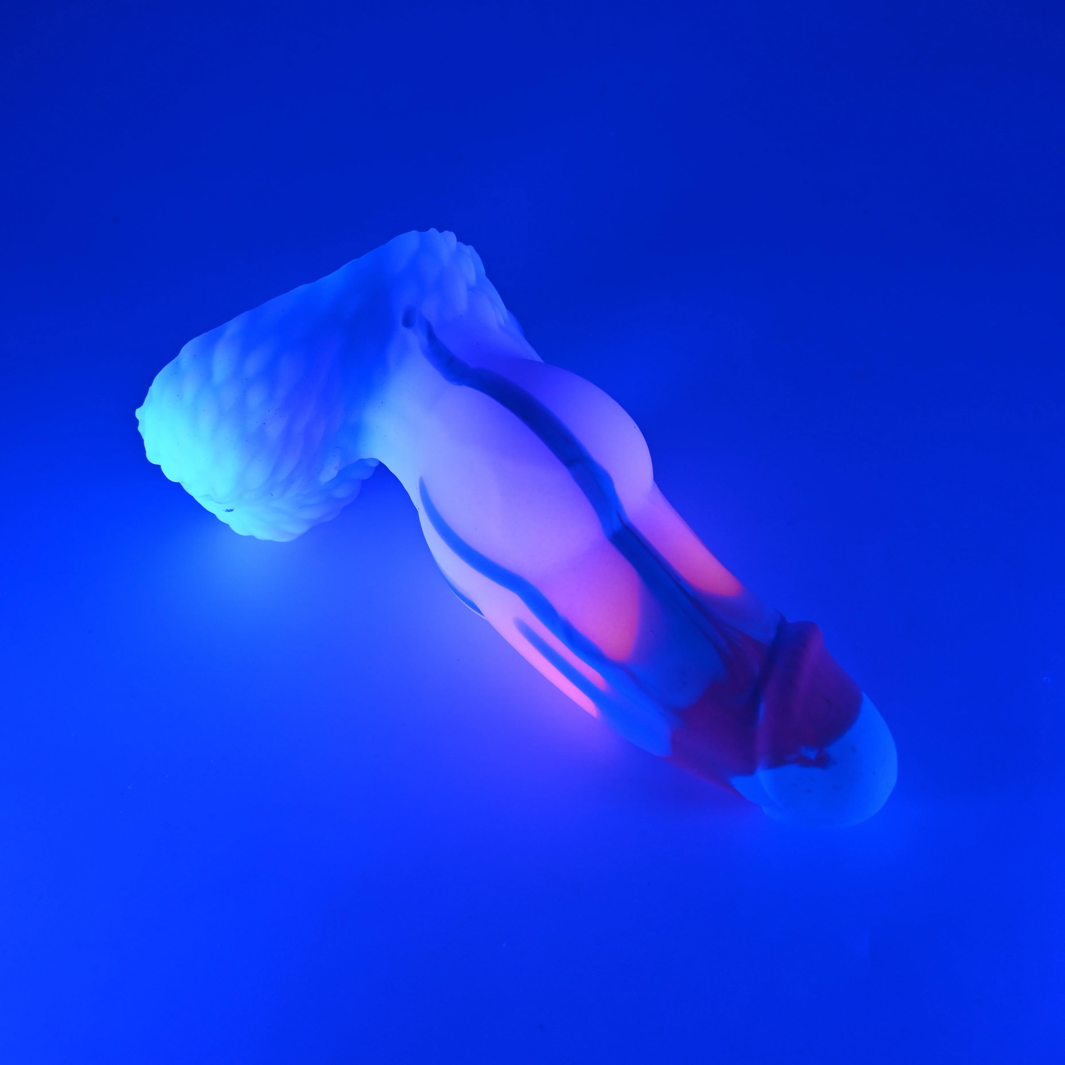 53SJU79 Jacob Medium 0030 UV GITD - Image 3