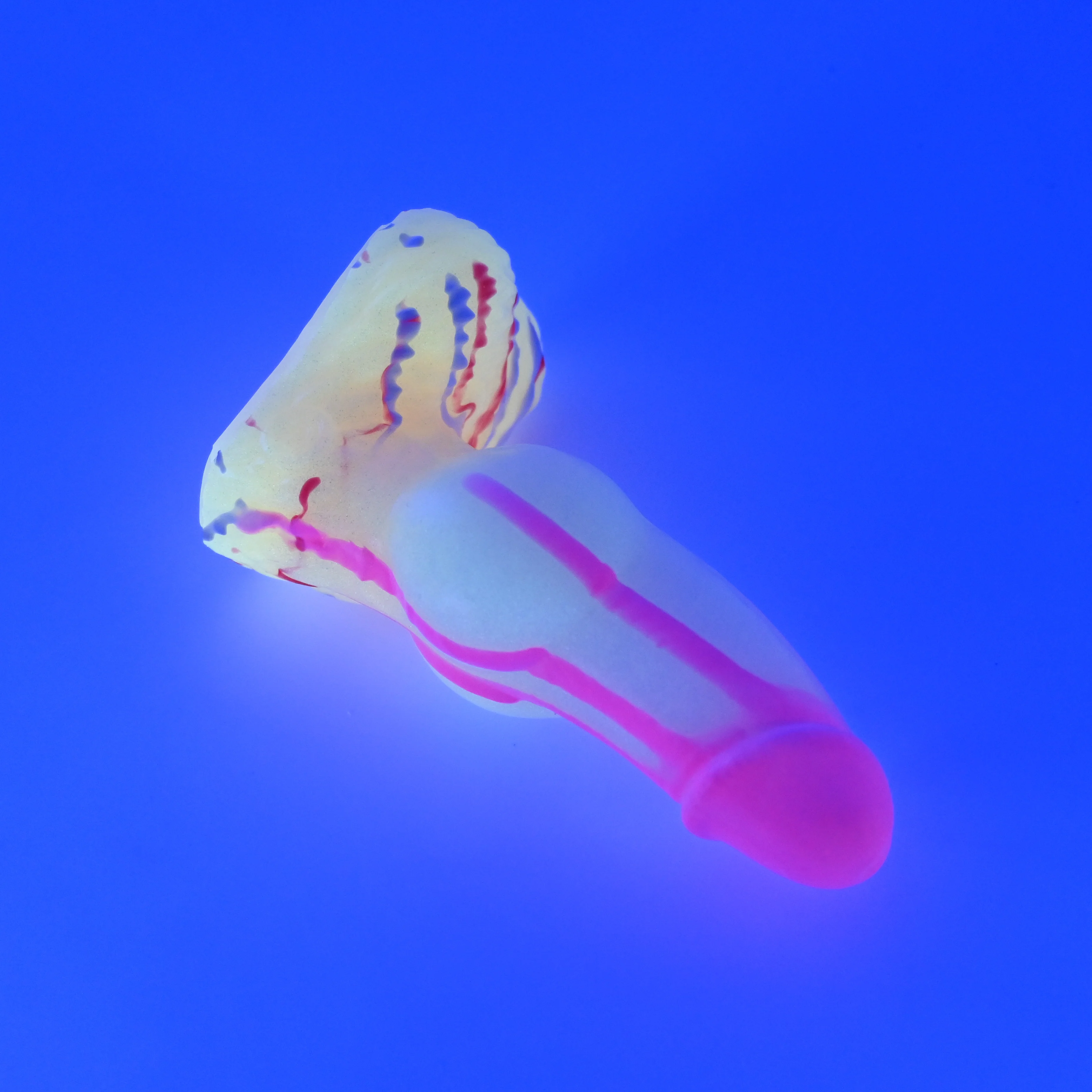 51SJW68 Jacob Mini 0030 UV GITD - Image 3