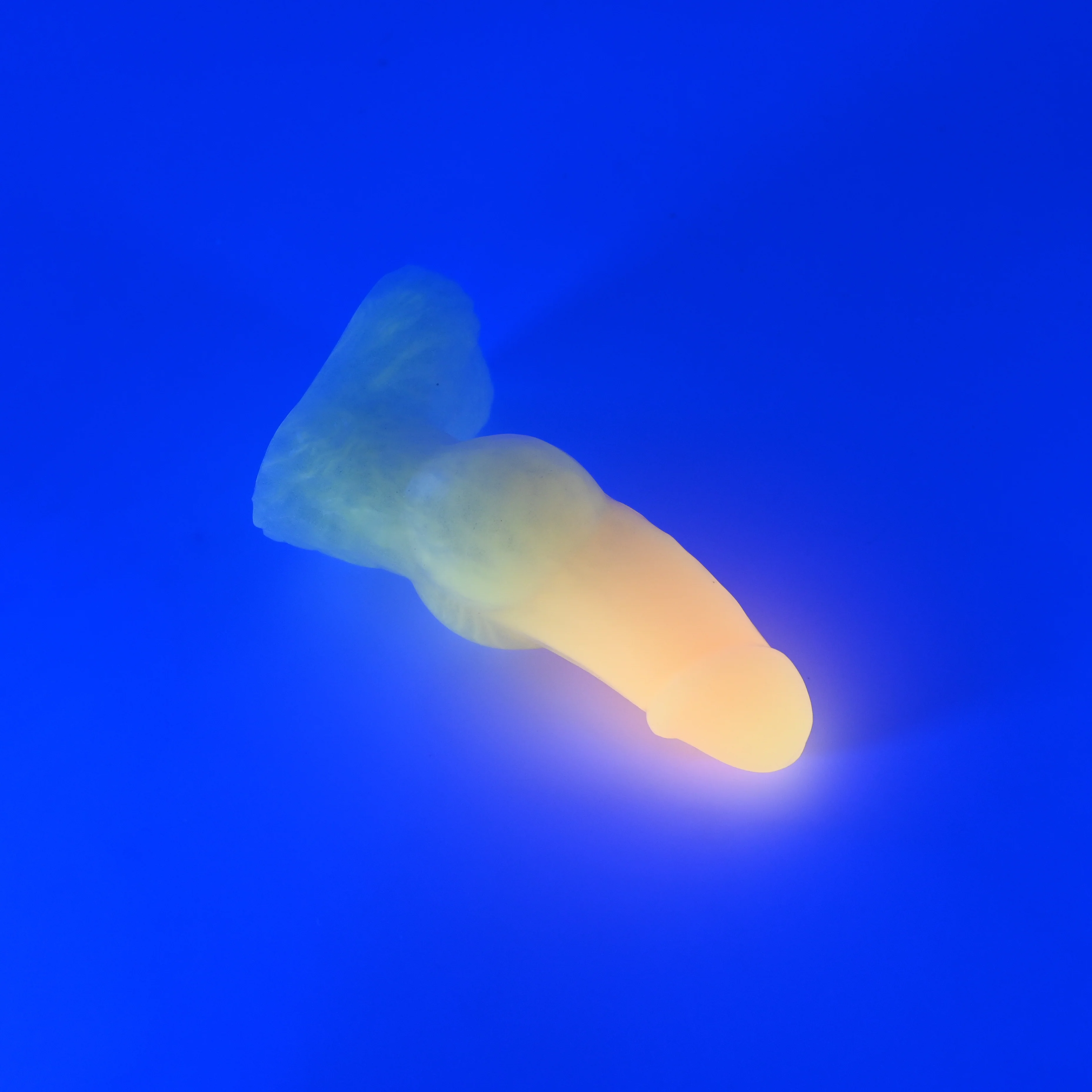 51XKA71 Jacob Mini 0020 UV GITD - Image 3