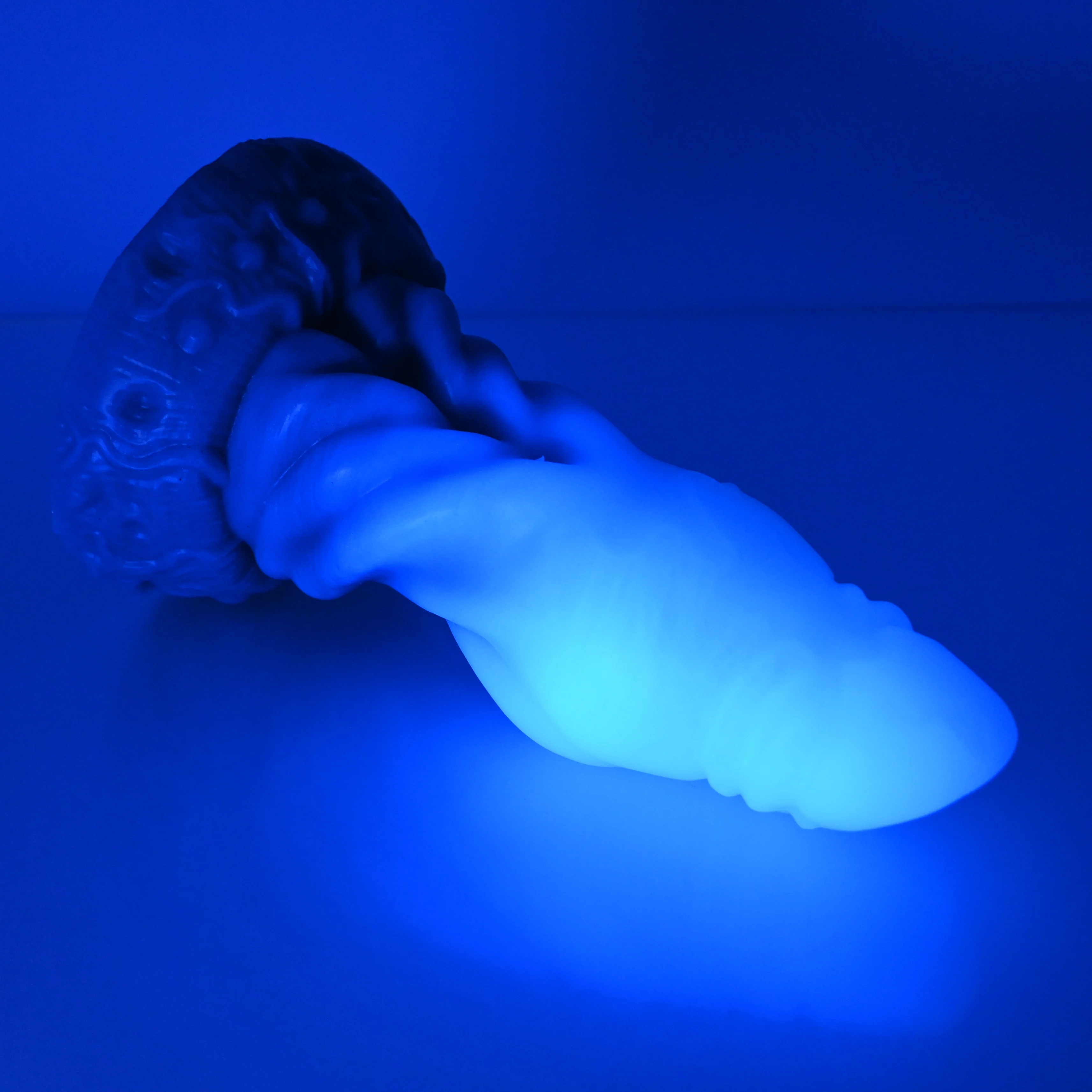 J3XDF85 Jupiter Medium 0020 UV GITD CS - Image 3