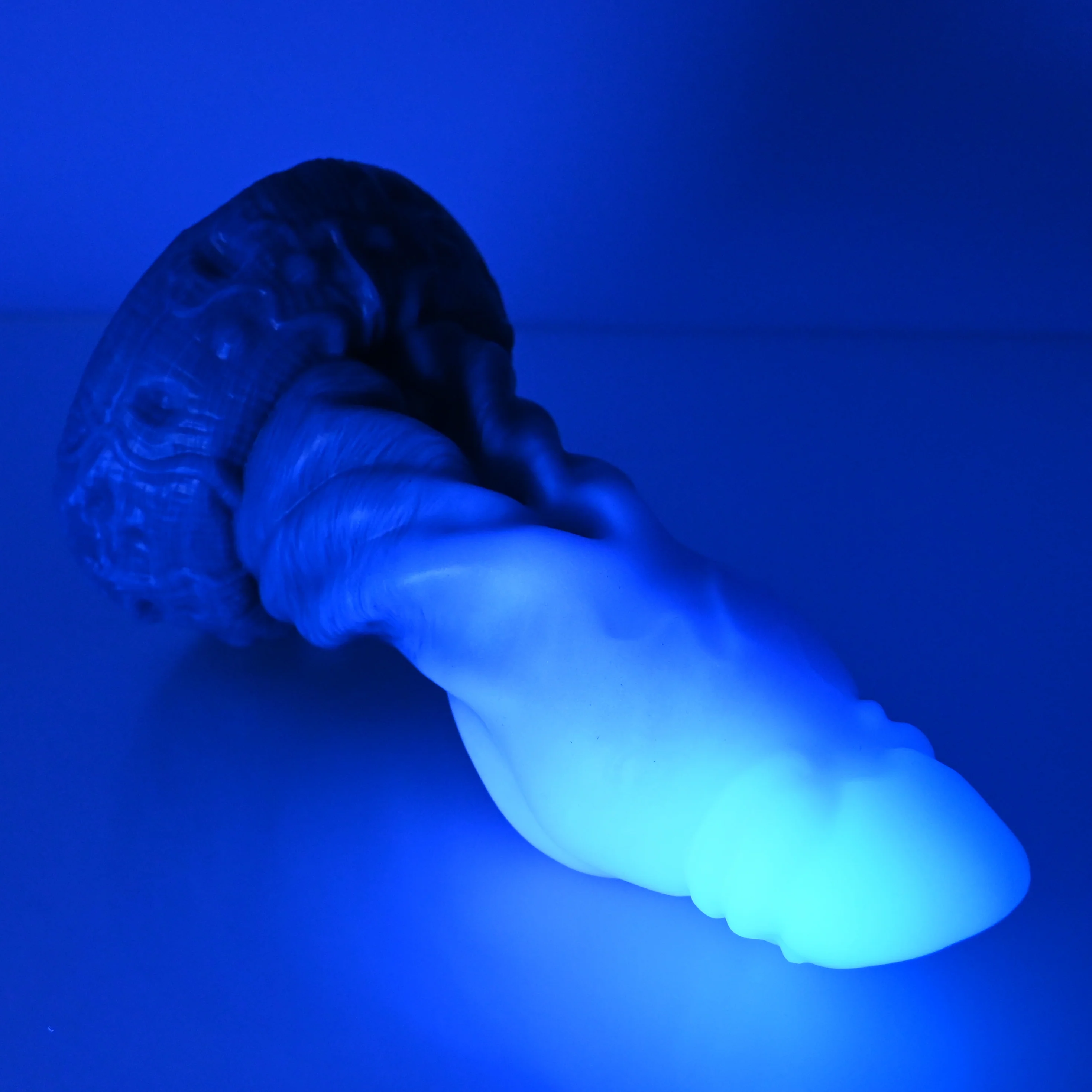 J3SDM69 Jupiter Medium 0030 UV GITD CS - Image 3
