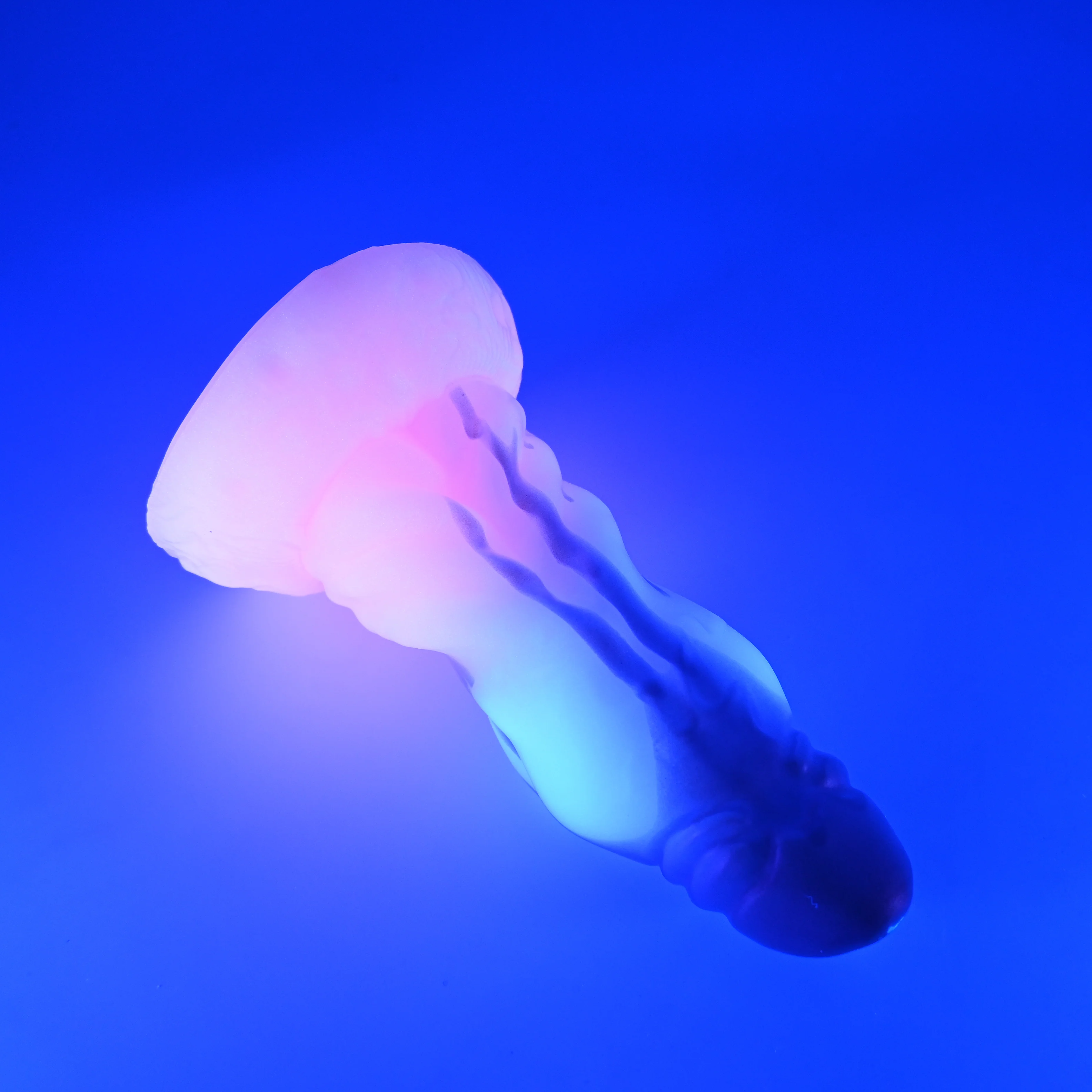 J3XJH56 Jupiter Medium 0020 UV GITD CS - Image 3