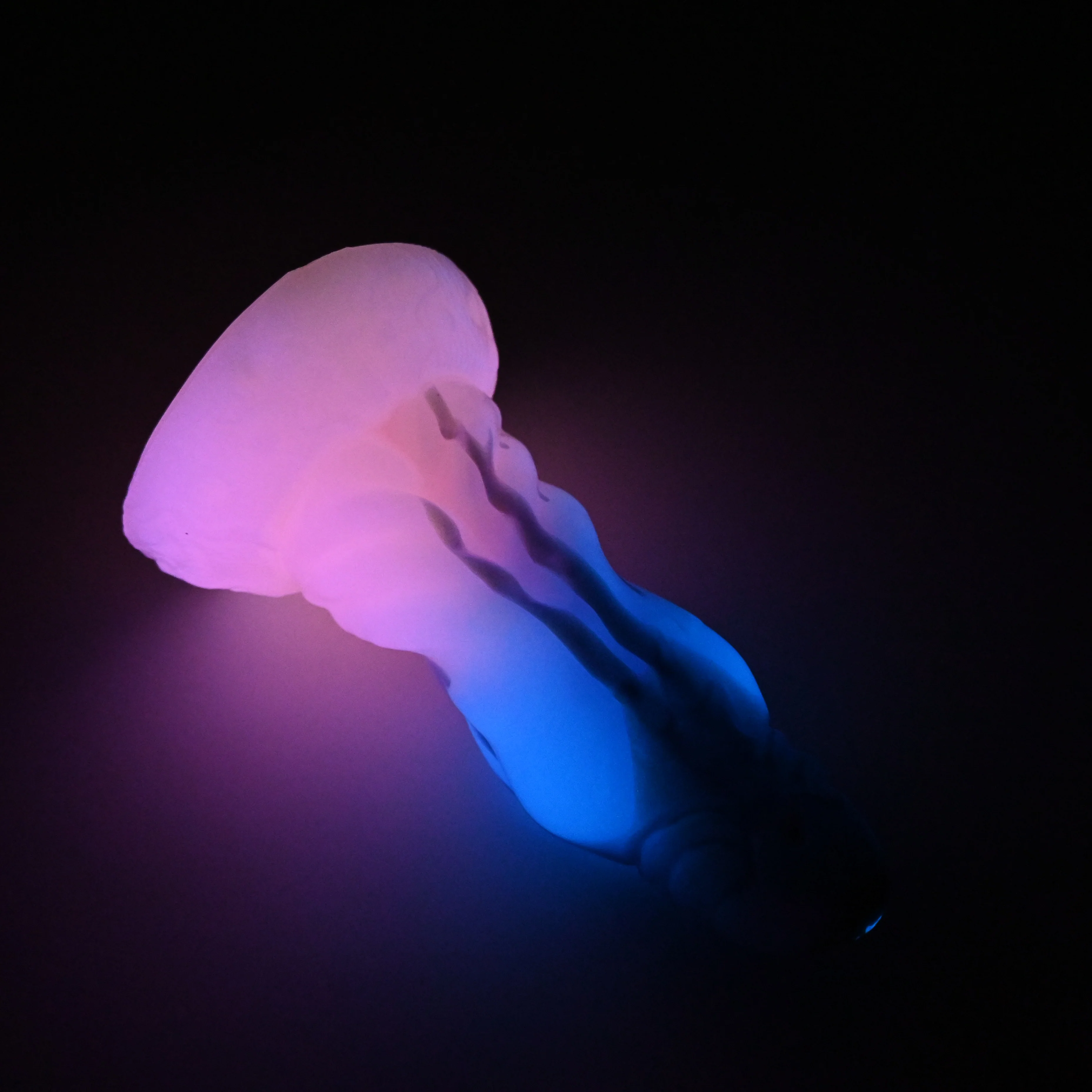 J3XJH56 Jupiter Medium 0020 UV GITD CS - Image 4