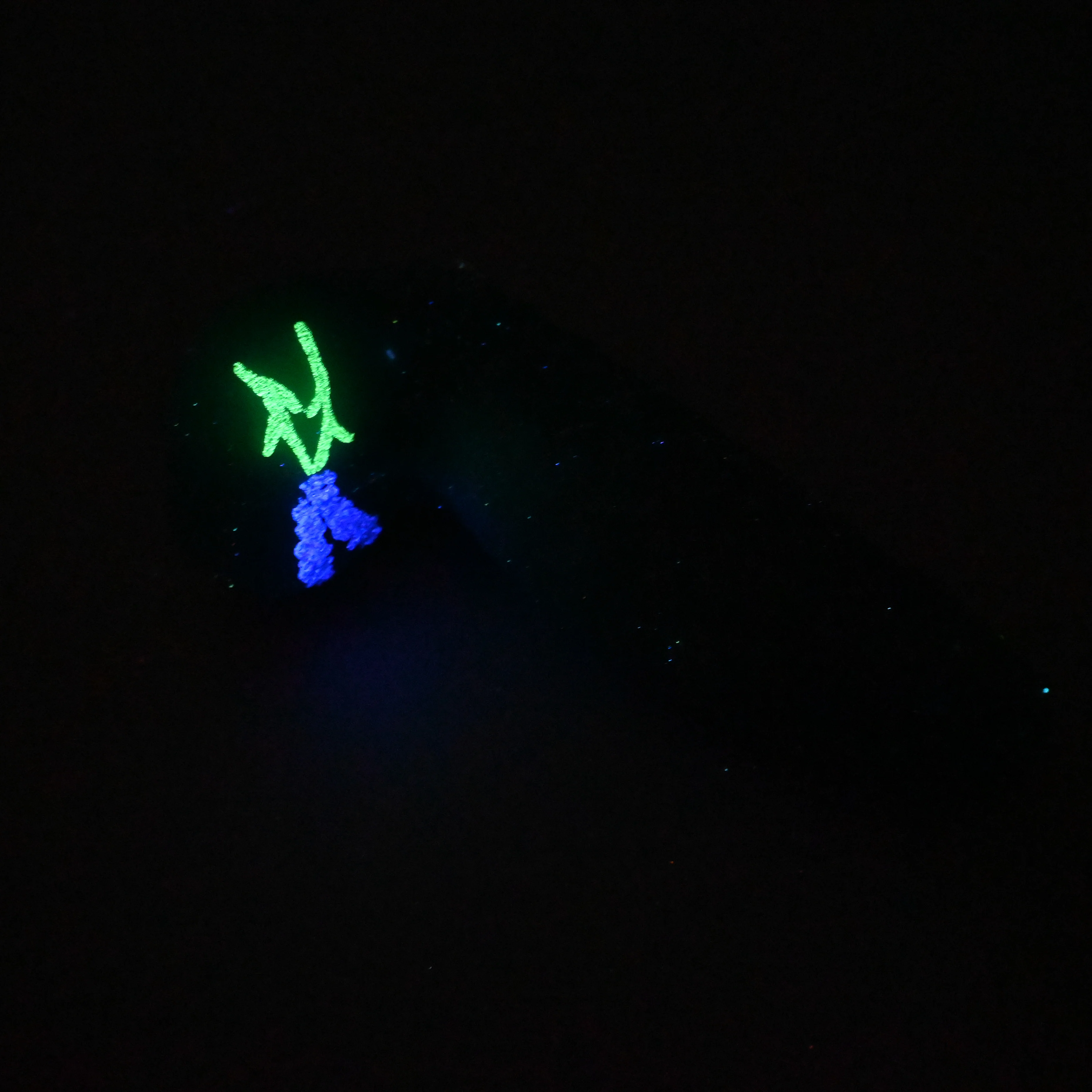 94MKB09 Kronos Large 0050 UV GITD GOBLIN HOLE - Image 3