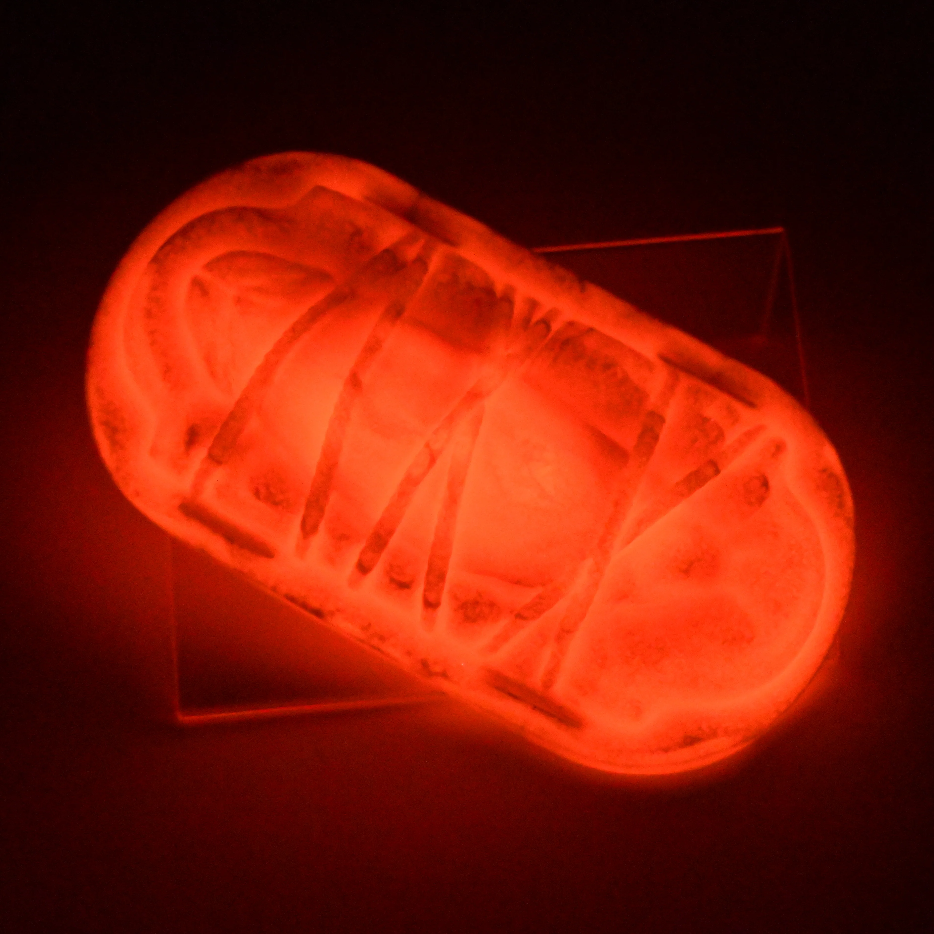 KYSHQ69 Kyno 0030 UV GITD - Image 3