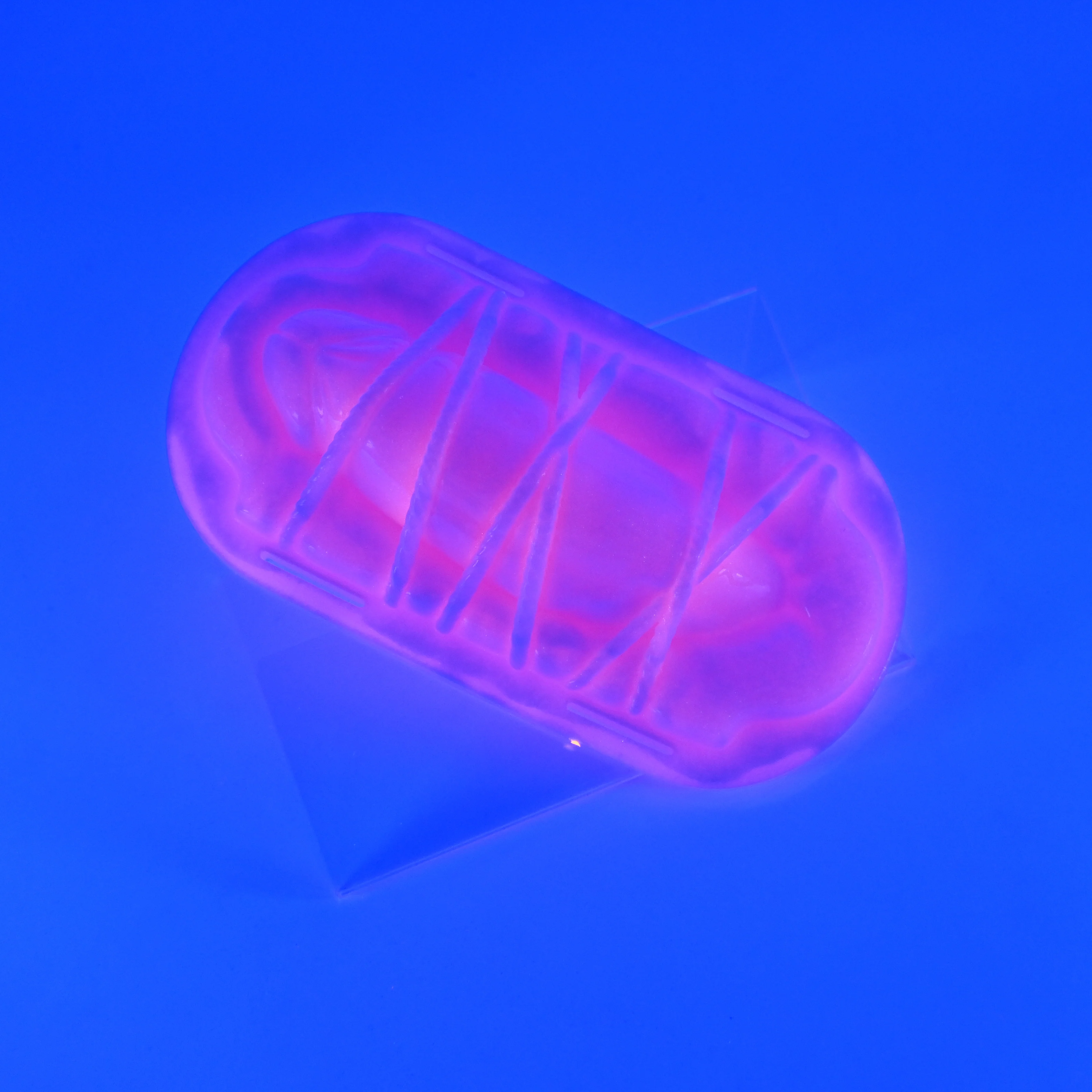 KYMHM48 Kyno 0050 UV GITD - Image 2