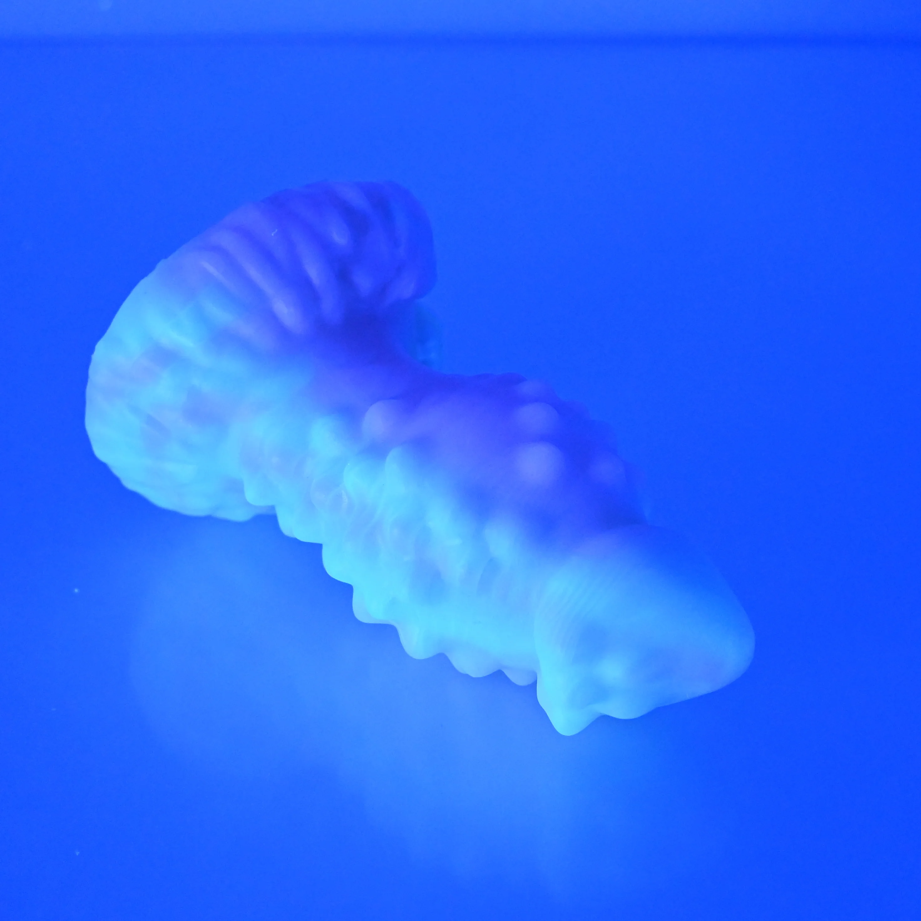 M1SBR08 Mars Mini 0030 UV - Image 4