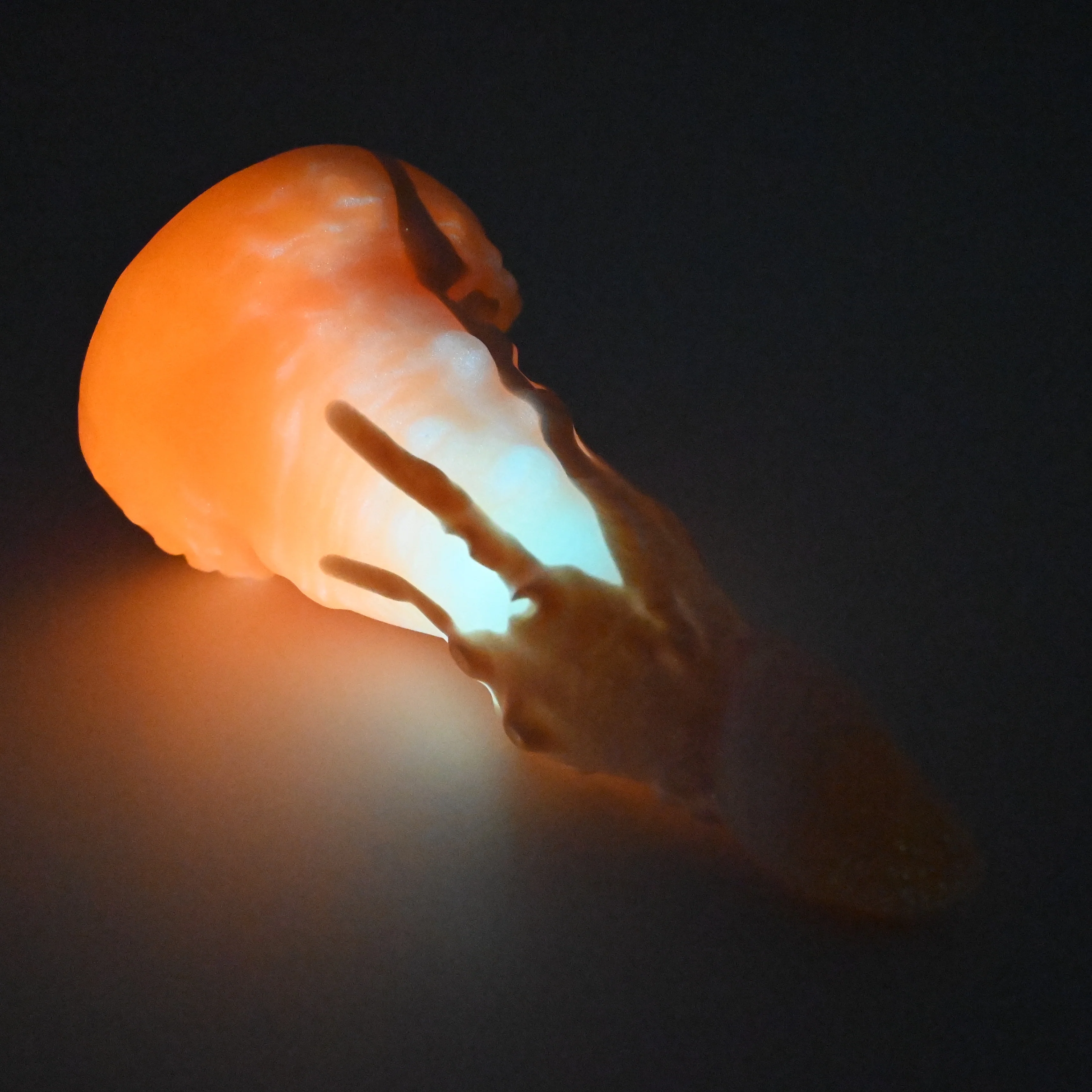 N2MFU27 Nereid Small 0050 UV GITD - Image 4