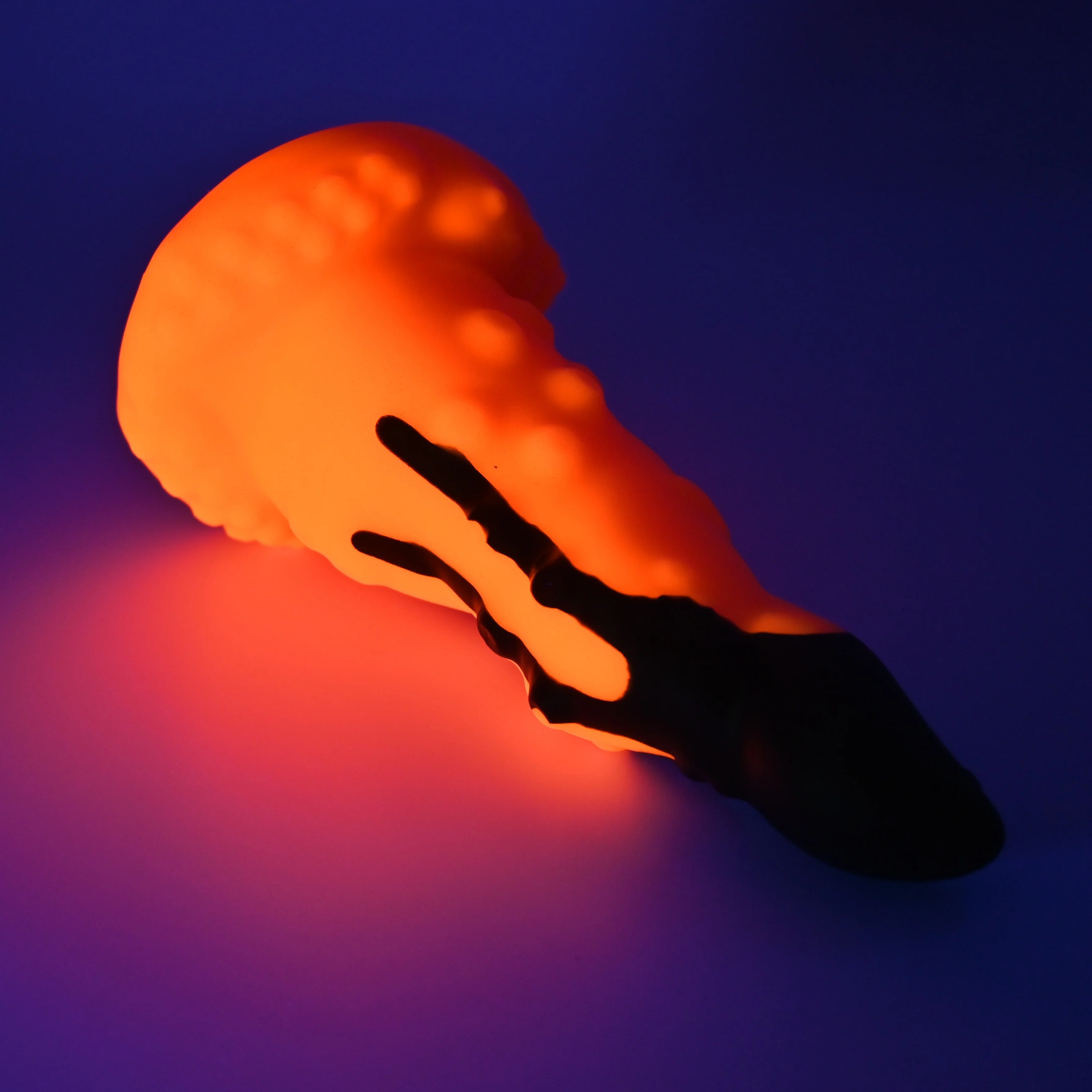 N2SFZ88 Nereid Small 0030 UV GITD - Image 3
