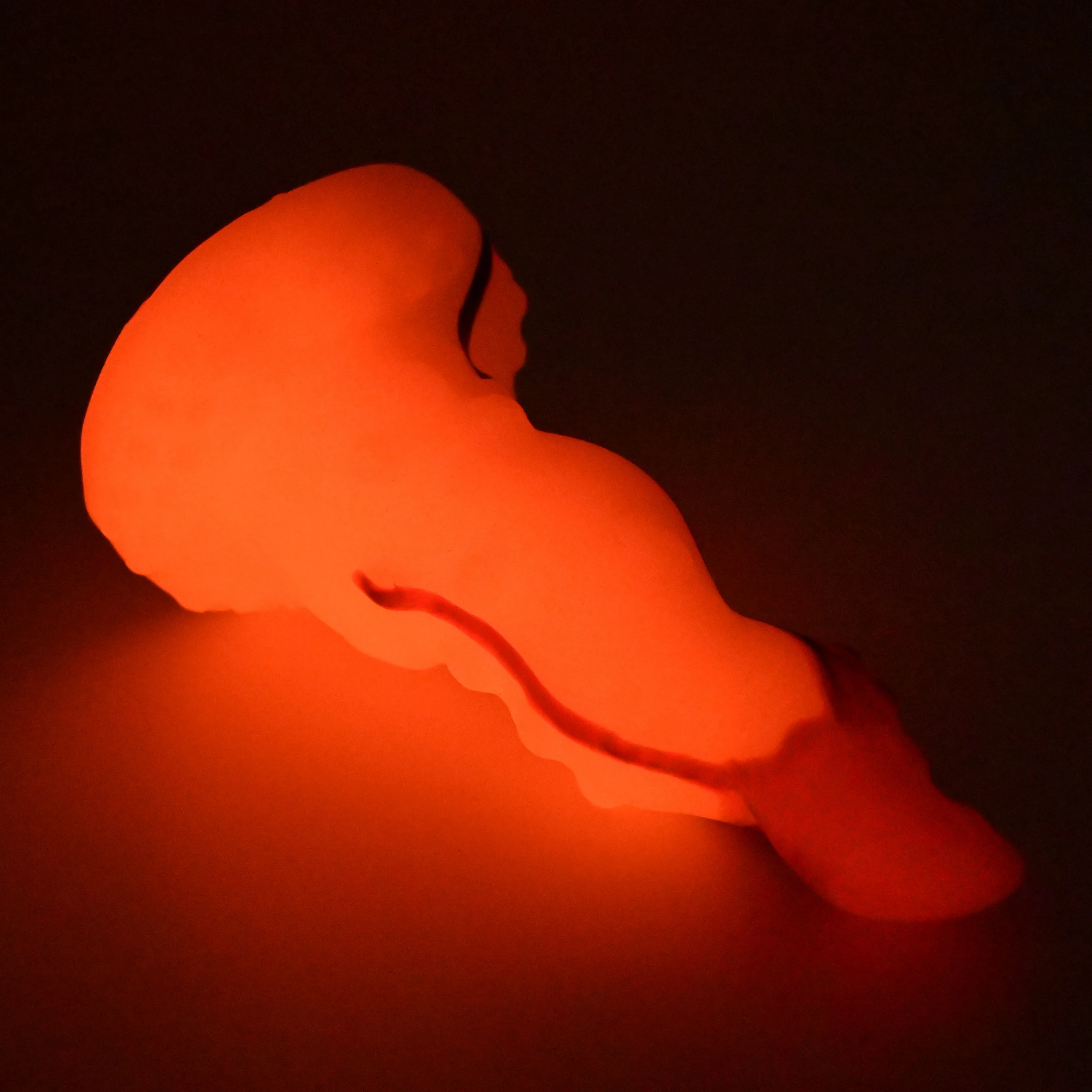 N2SGD21 Nereid Small 0030 UV GITD - Image 4