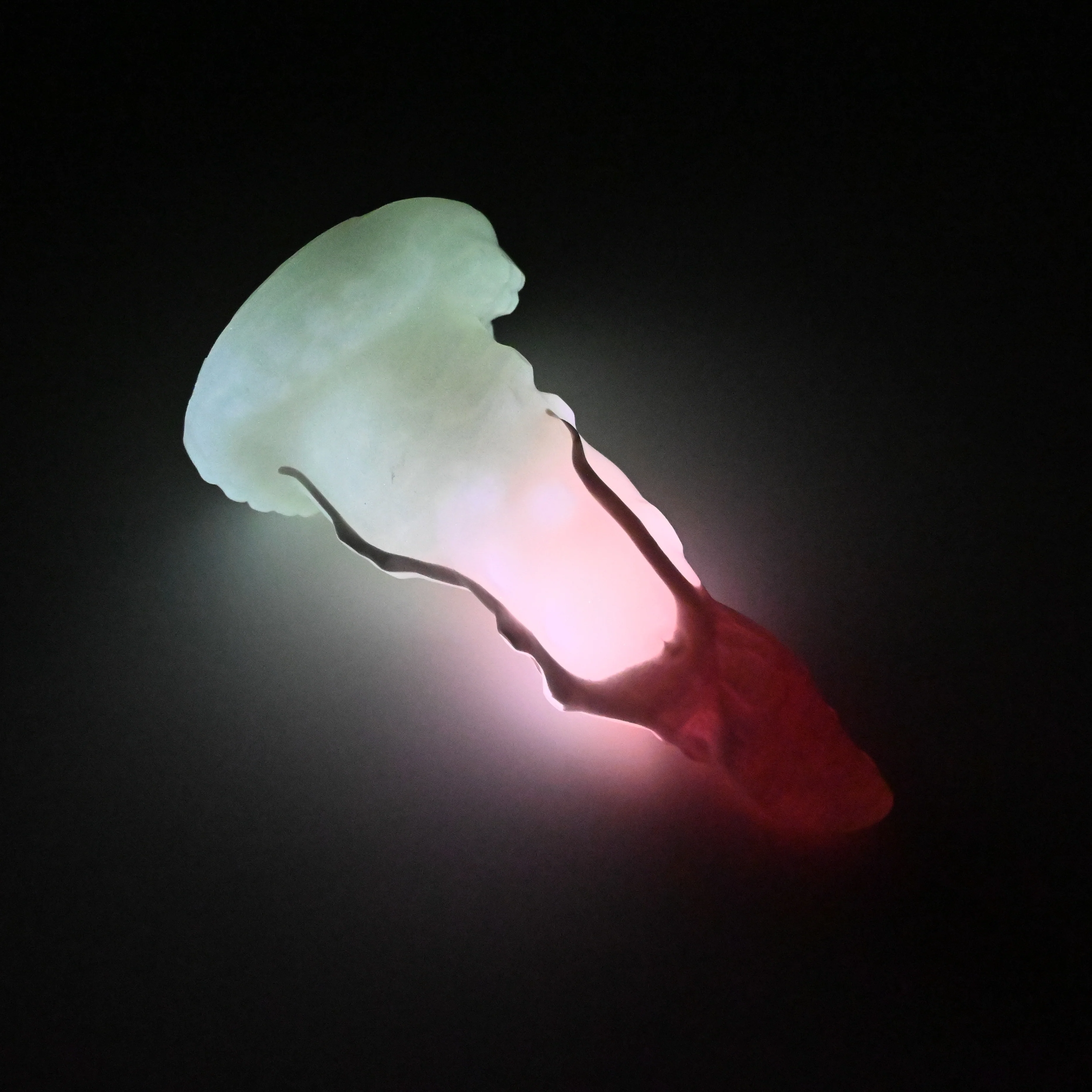 N2SJS06 Nereid Small 0030 UV GITD - Image 4
