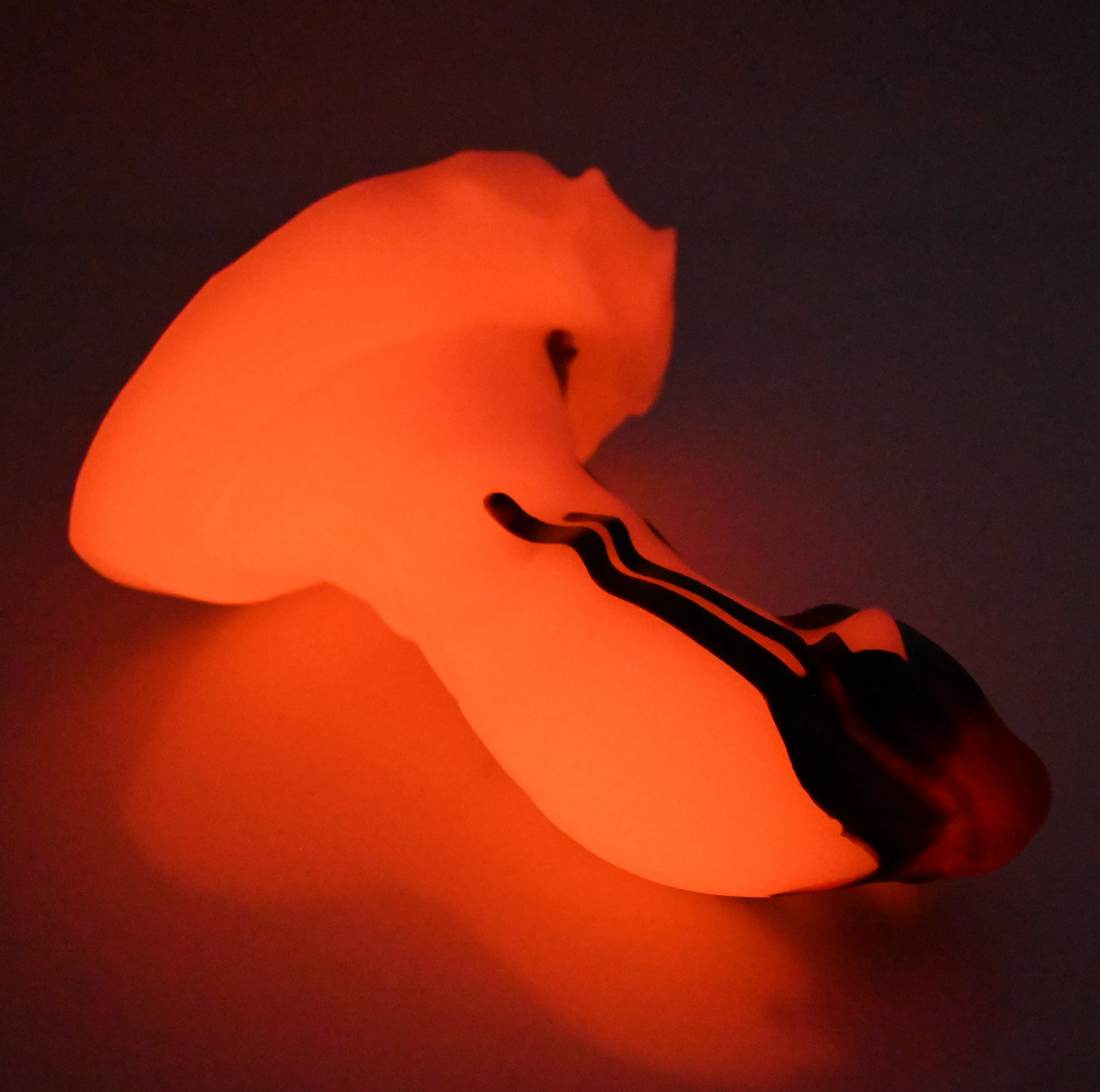 R3MEJ68 Oberon Medium 0050 UV GITD - Image 4