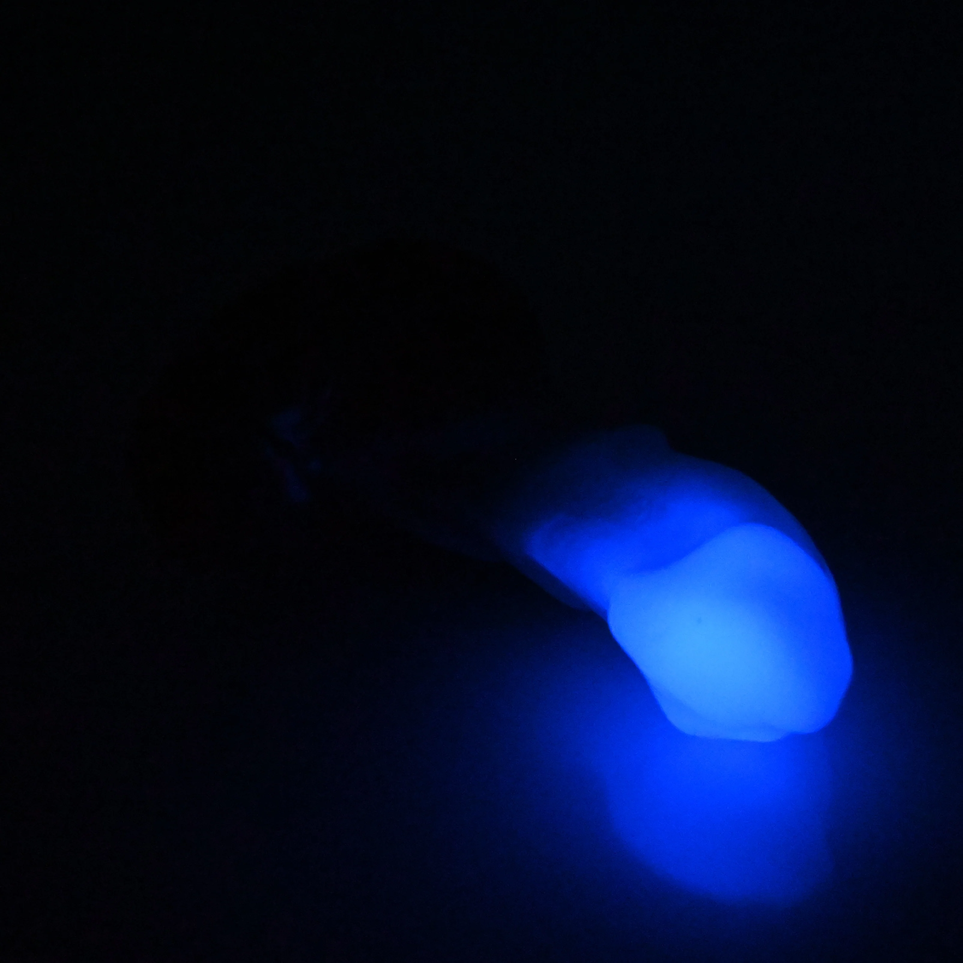 R3SDK42 Oberon Medium 0030 UV GITD CS - Image 4