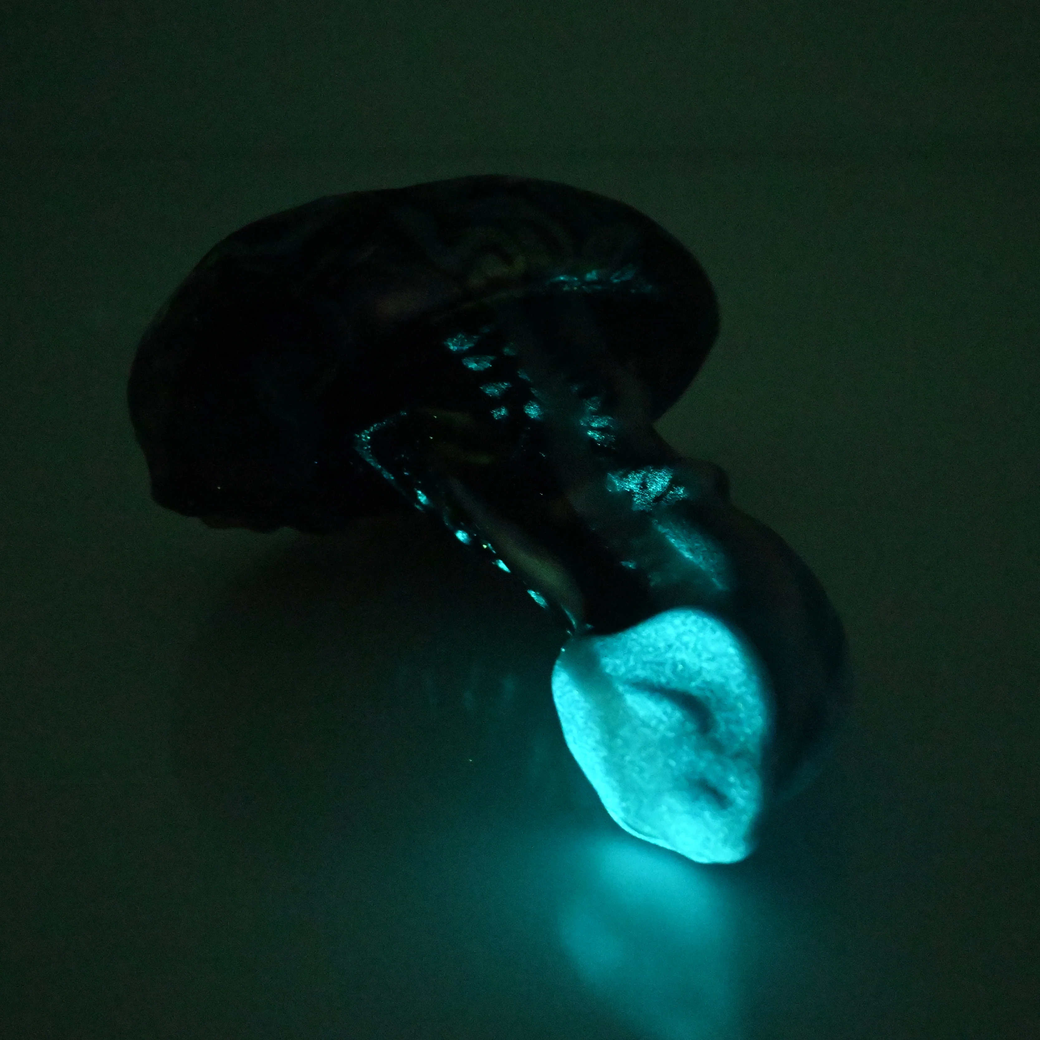 R1SDN24 Oberon Mini 0030 UV GITD CS - Image 4
