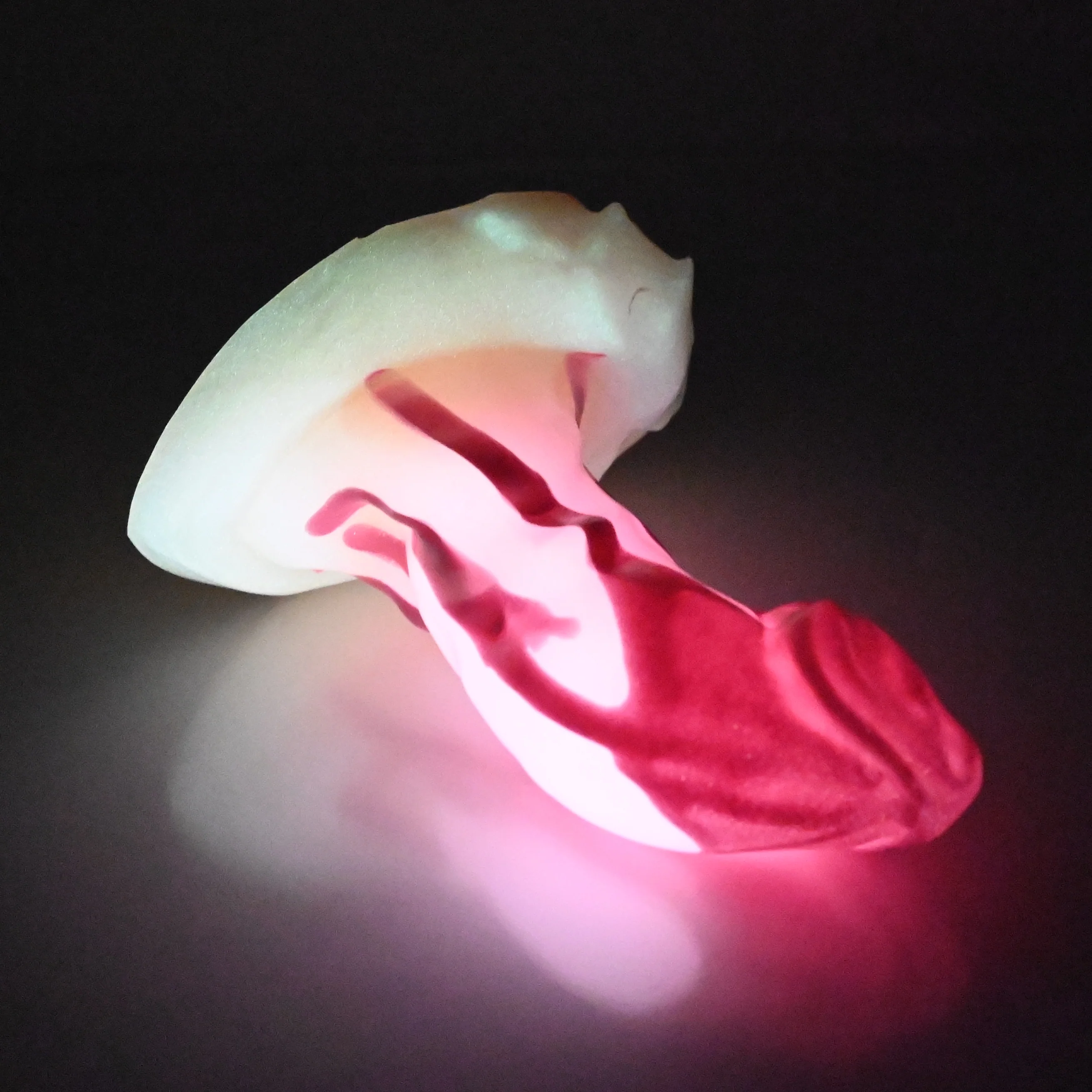 R2XFB02 Oberon Small 0020 UV GITD - Image 4