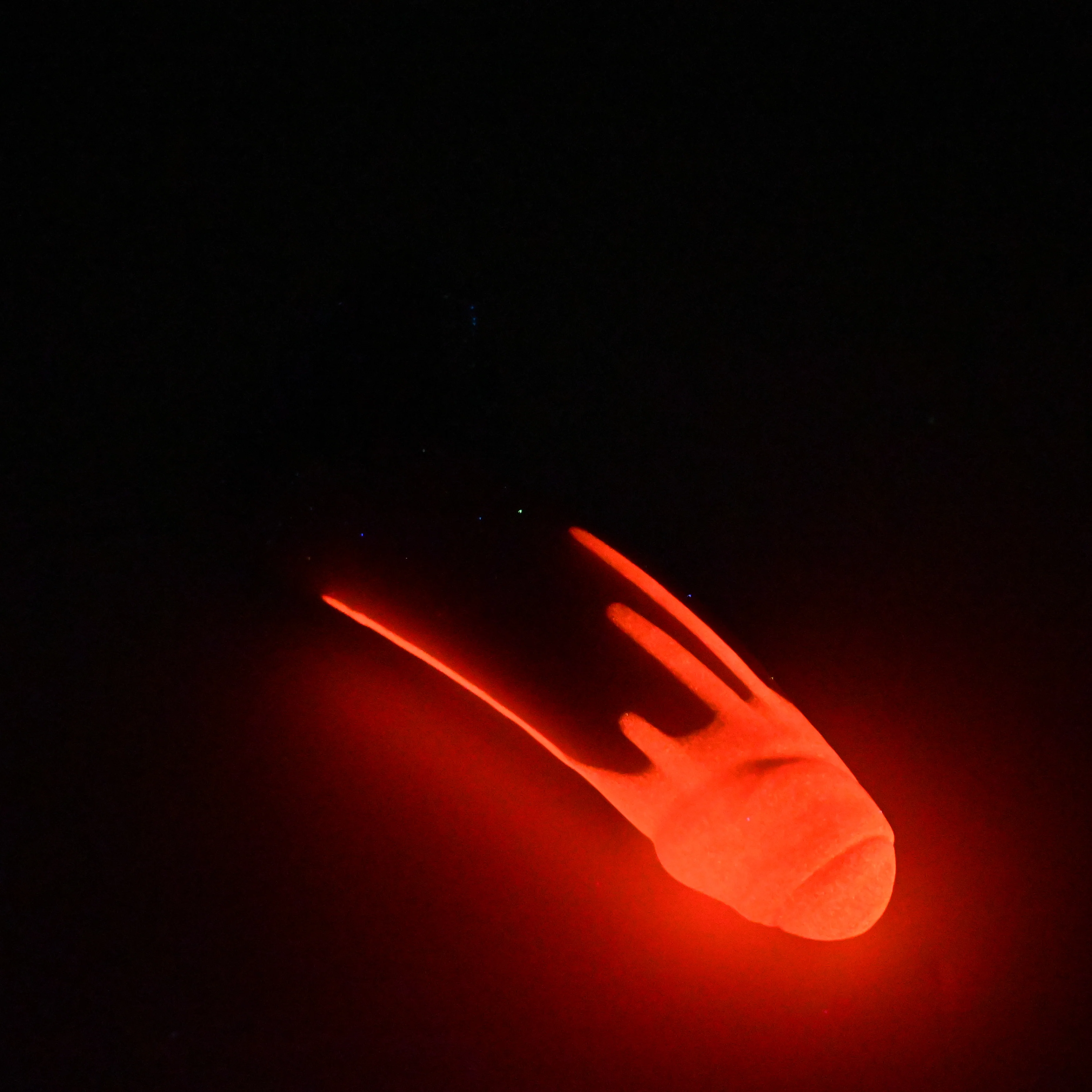 R2SJH96 Orion Small 0030 UV GITD - Image 4