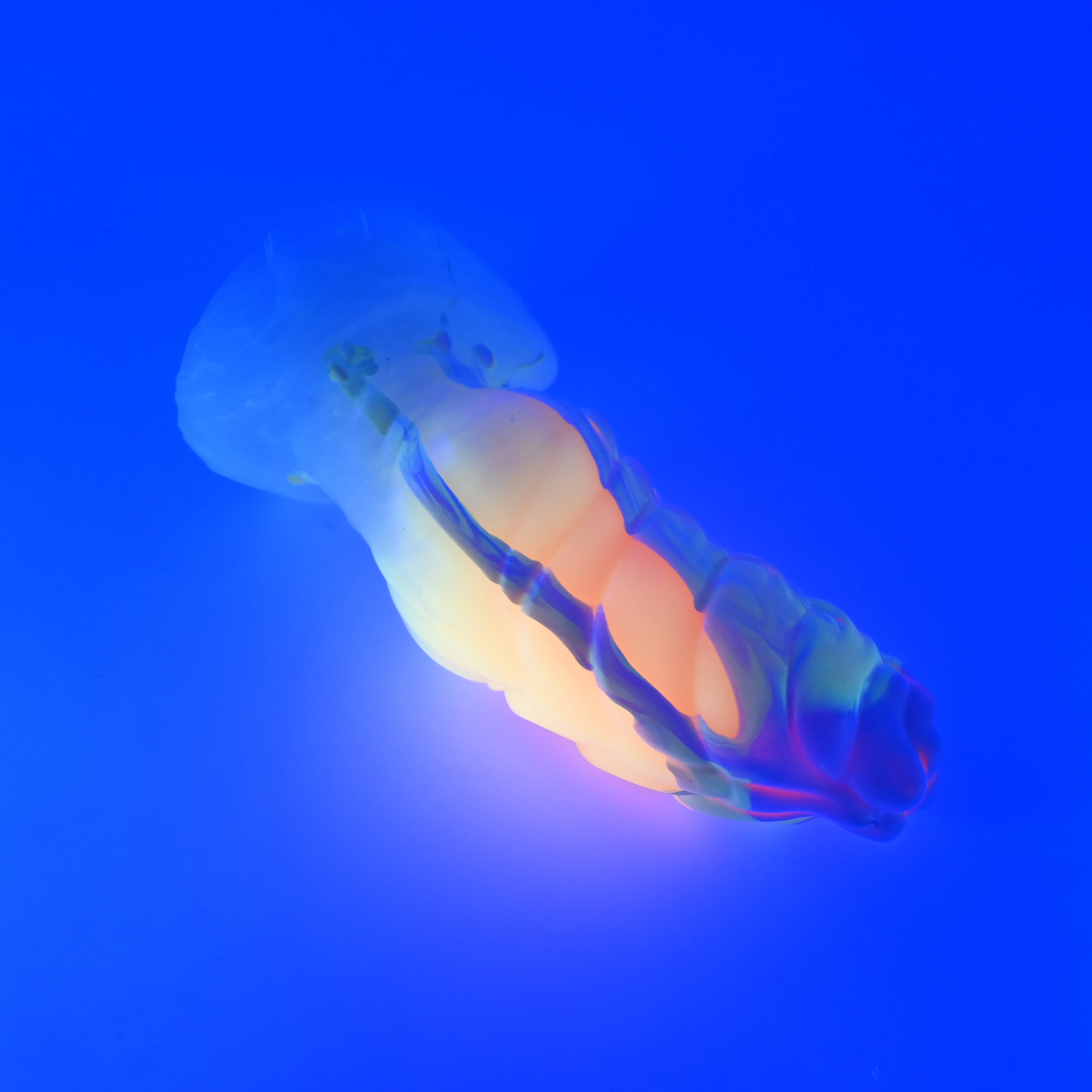 P4XKB84 Pluto Large 0020 UV GITD - Image 3