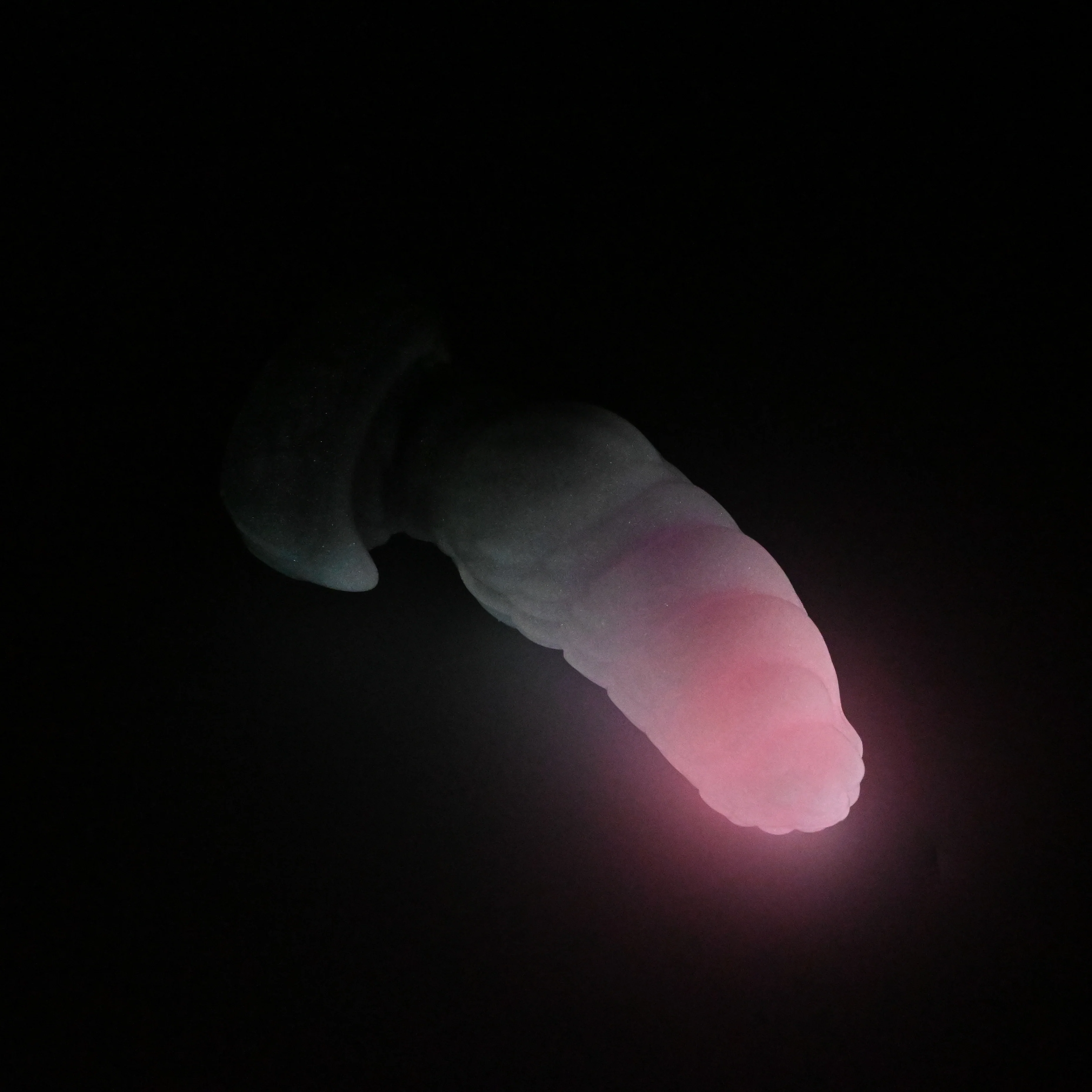 P2SHT79 Pluto Small 0030 UV GITD - Image 4