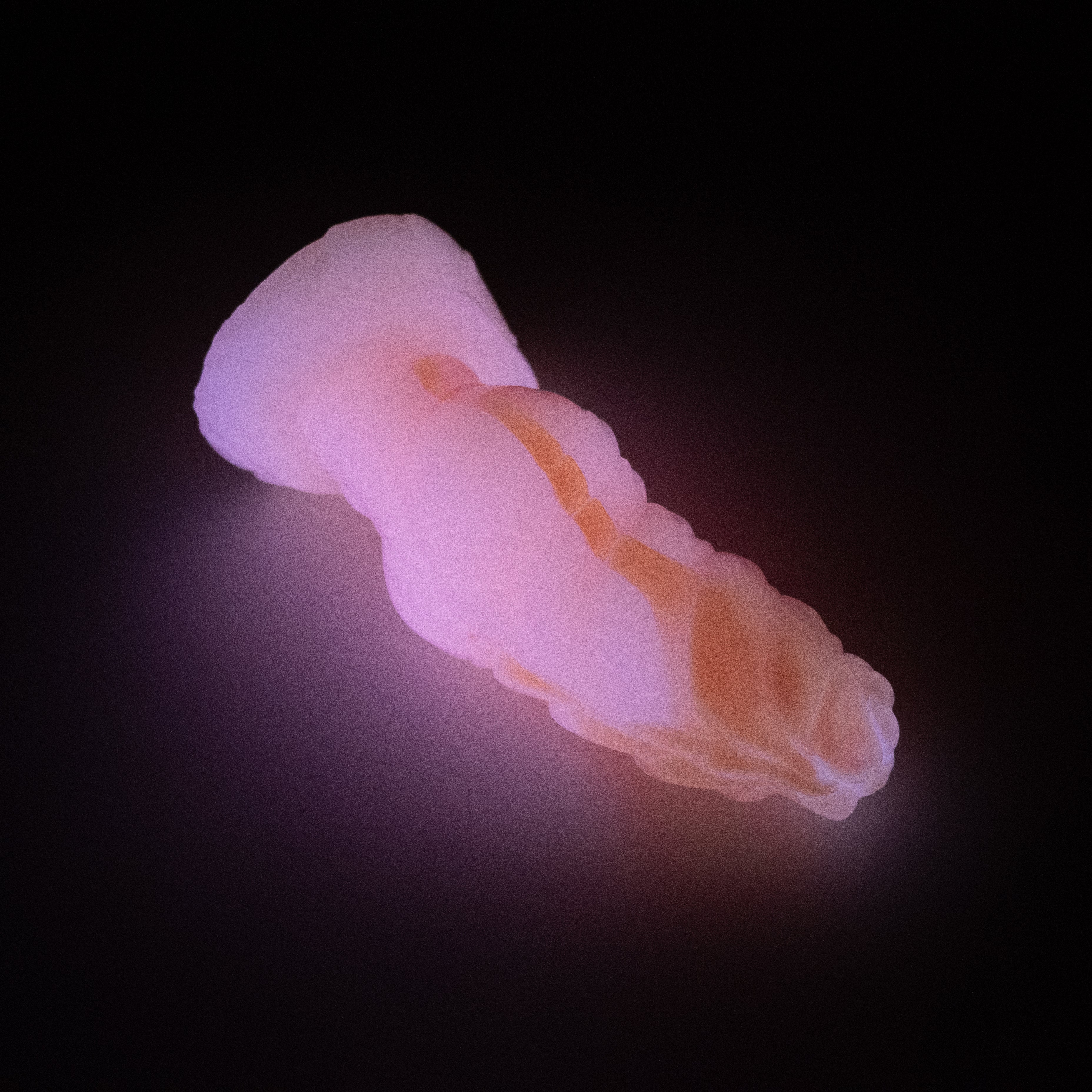 P2XJQ17 Pluto Small 0020 UV GITD CS - Image 4