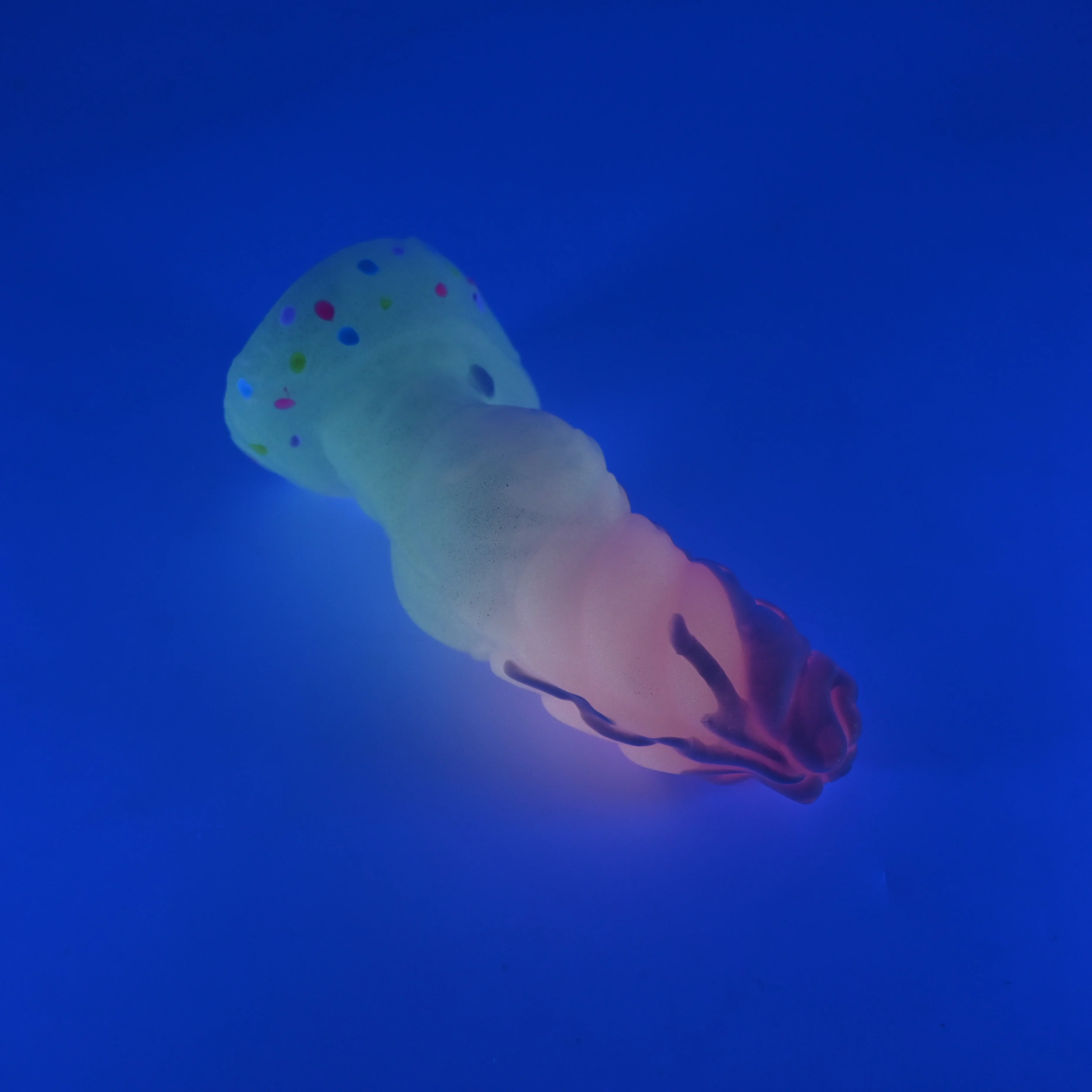 P2SJS09 Pluto Small 0030 UV GITD - Image 3