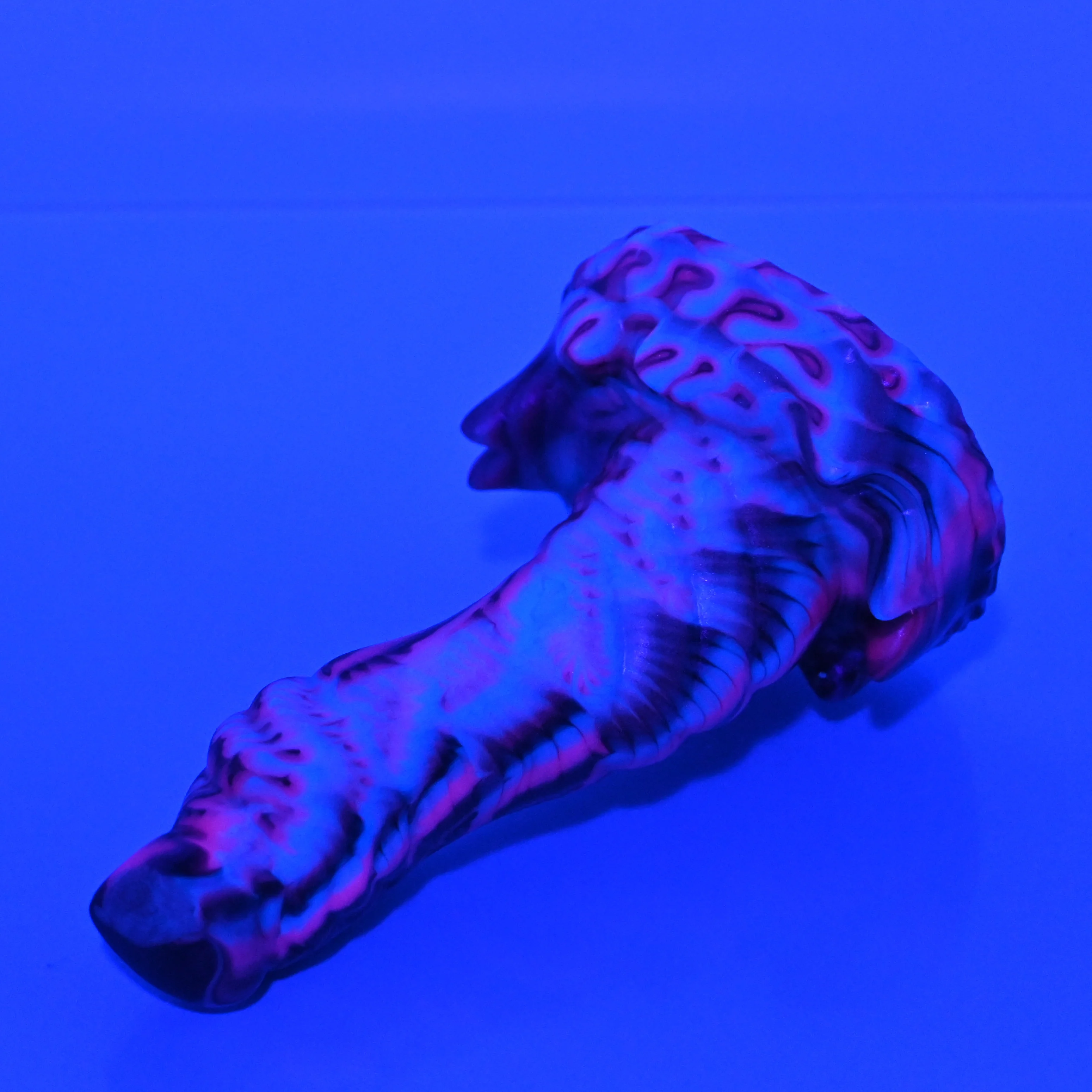S1SAY21 Snark Mini Soft UV - Image 4