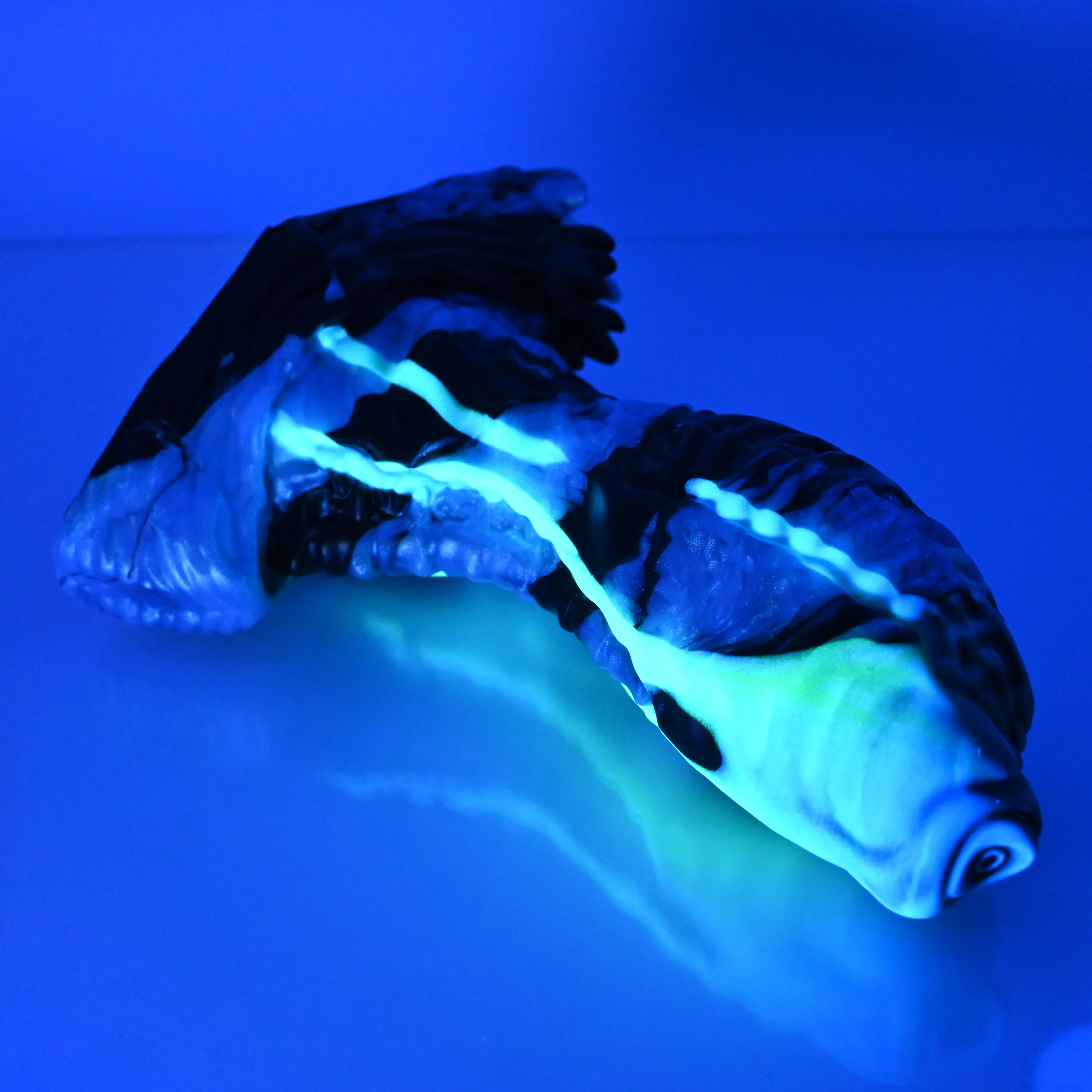 X3MEF51 Shin Medium 0050 UV GITD CS - Image 3
