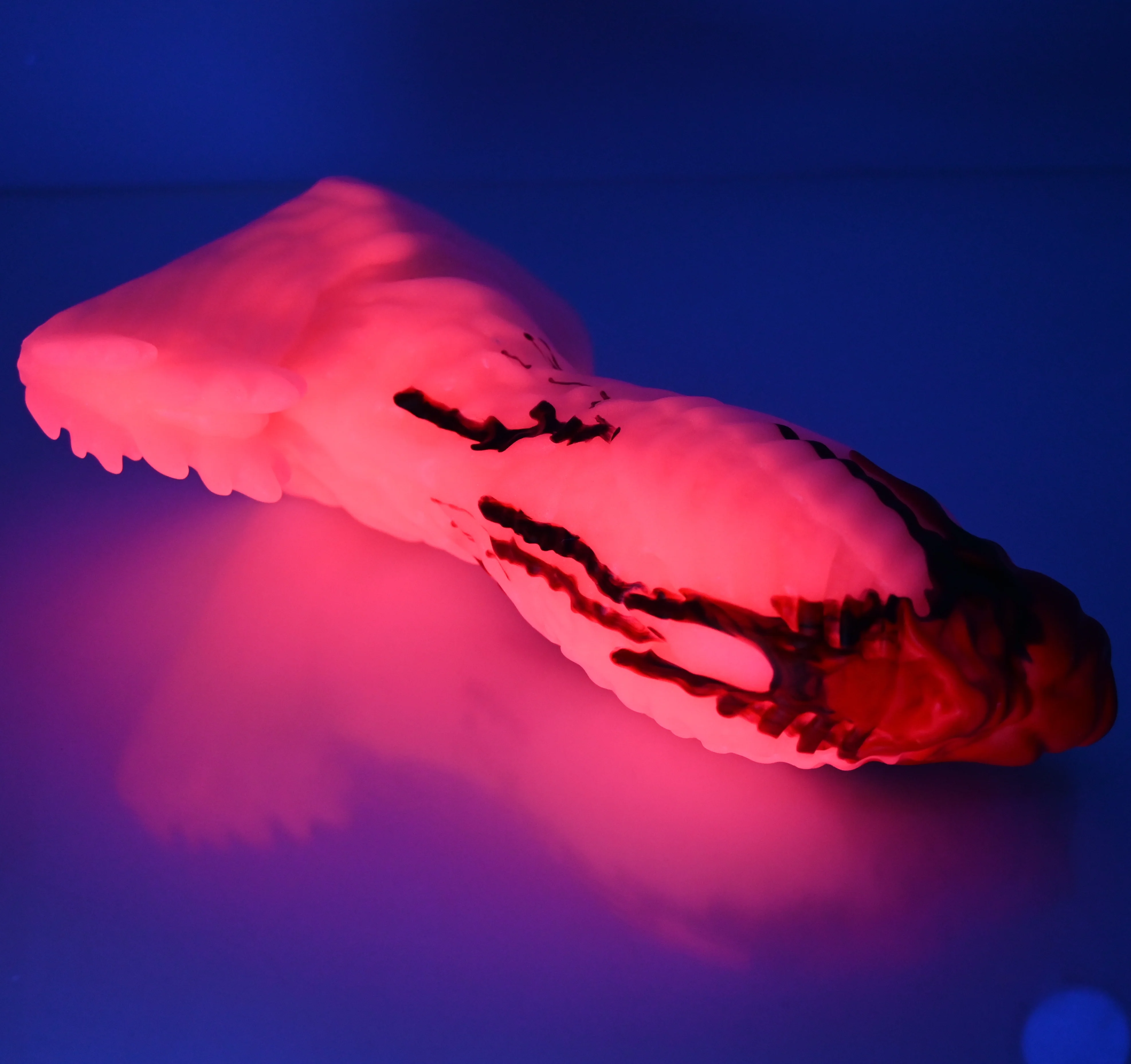 X3SEK41 Shin Medium 0030 UV GITD - Image 3