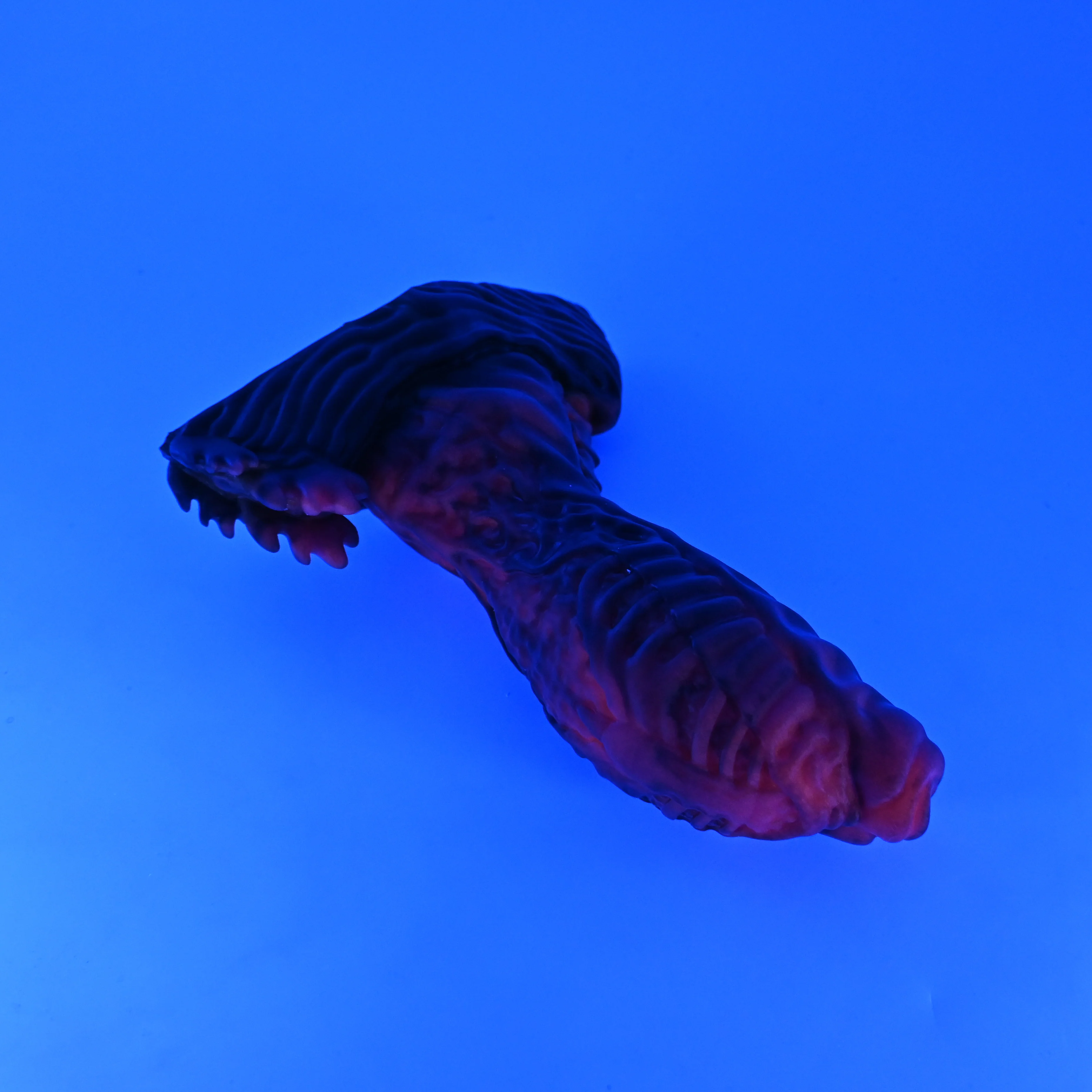 X3SJY50 Shin Medium 0030 UV GITD - Image 3