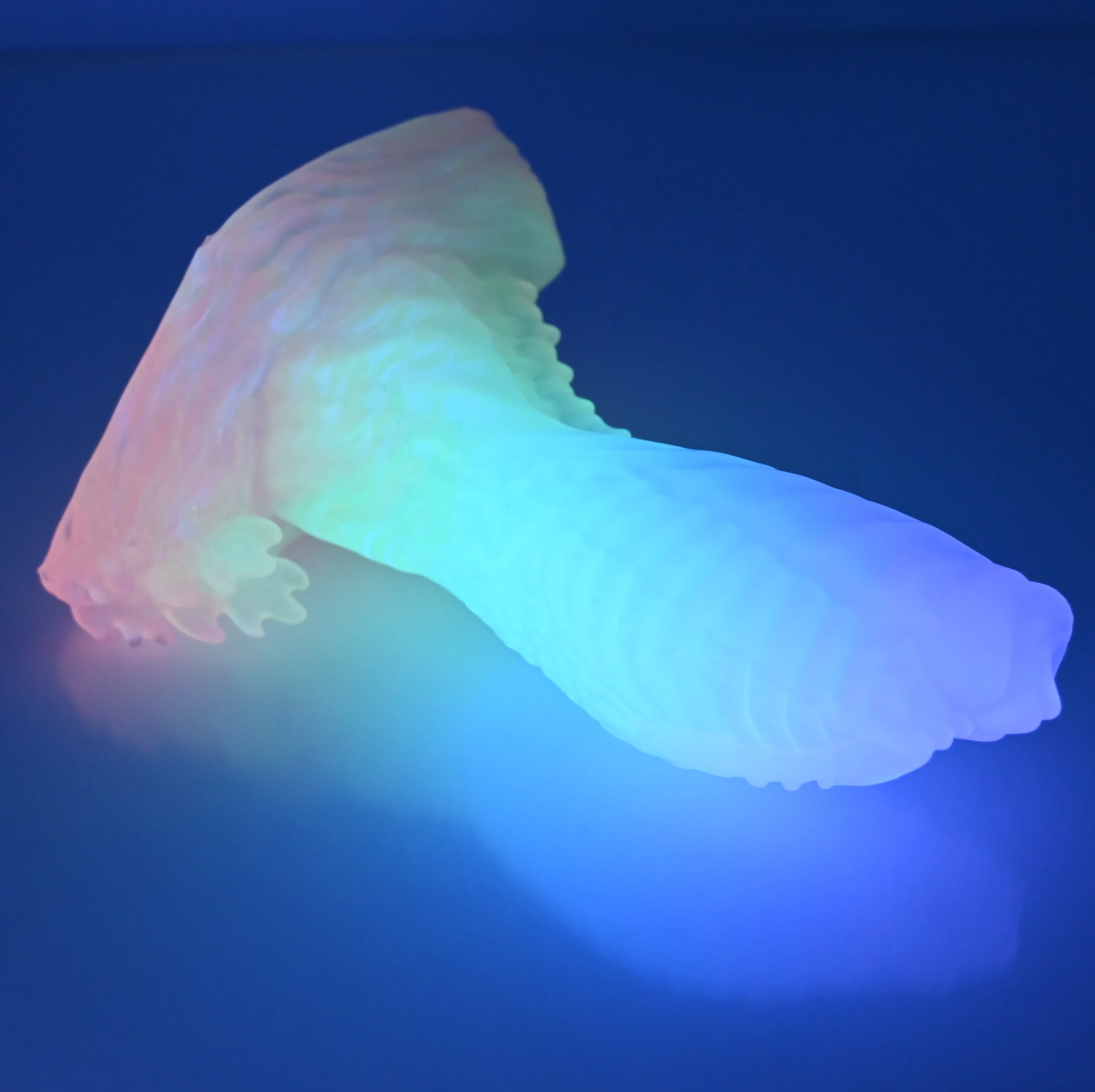 X2TEK38 Shin Small NC 0031 UV CS - Image 4